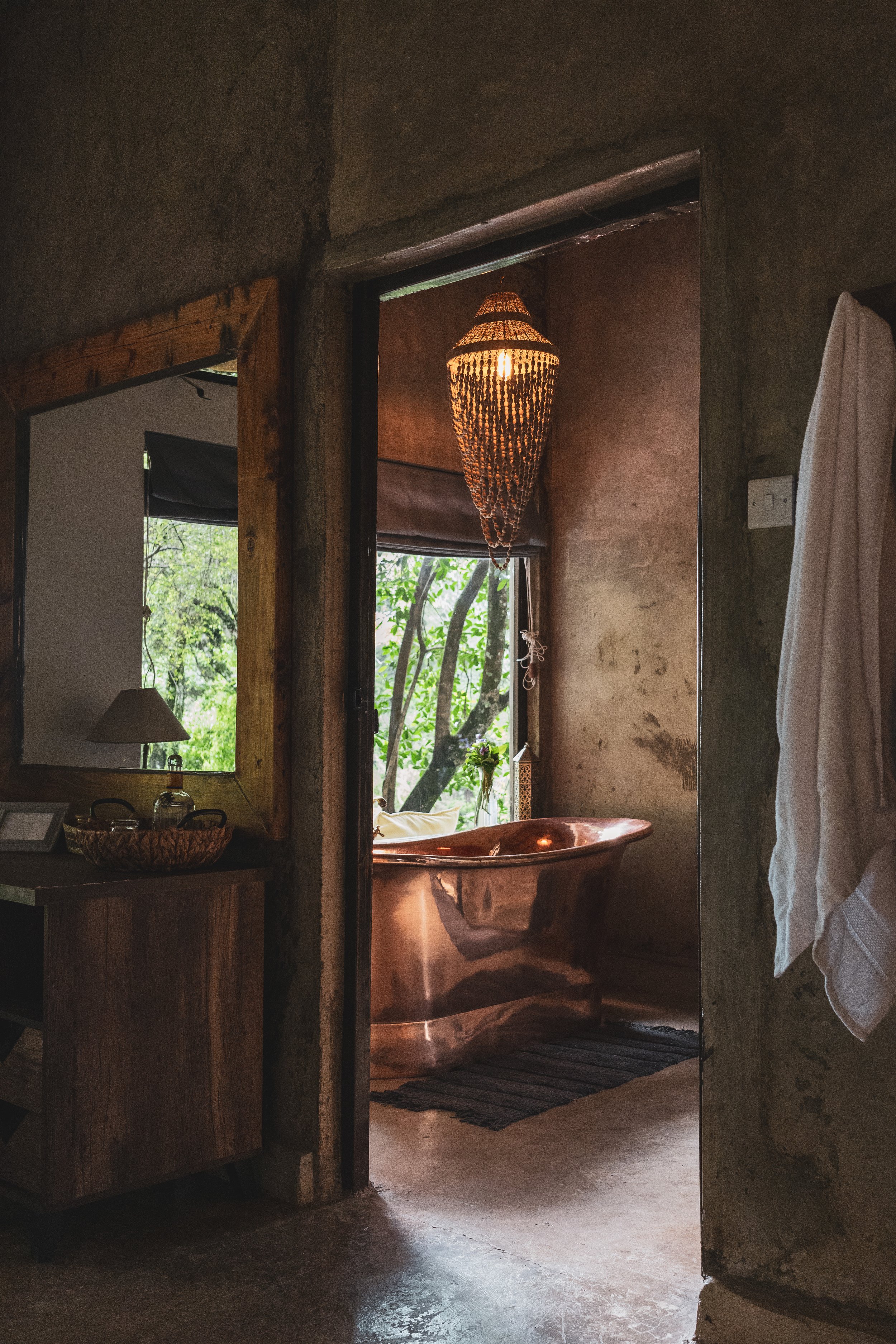 Into the Wild at House in the Wild