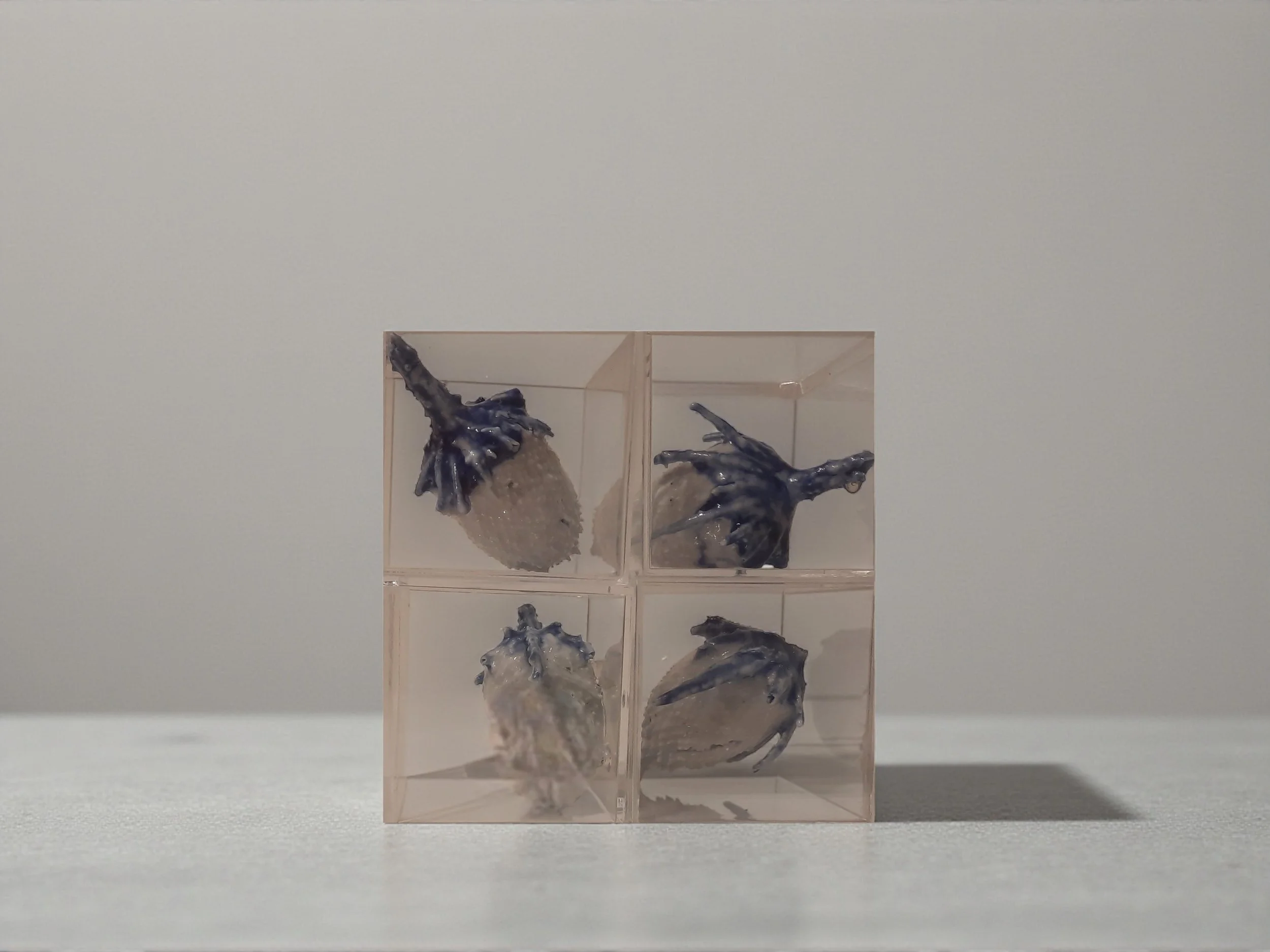 Élégance Chardonnée en Porcelaine