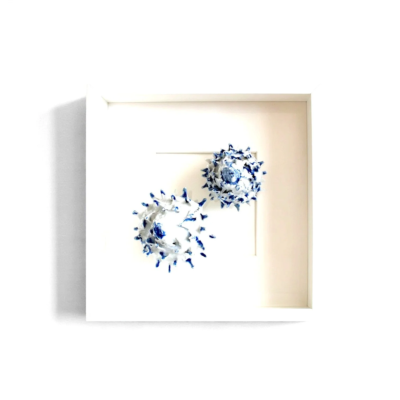 Deux sculptures artistiques blanches et bleues dans une boîte blanche, avec un fond blanc et un ombrage à gauche.