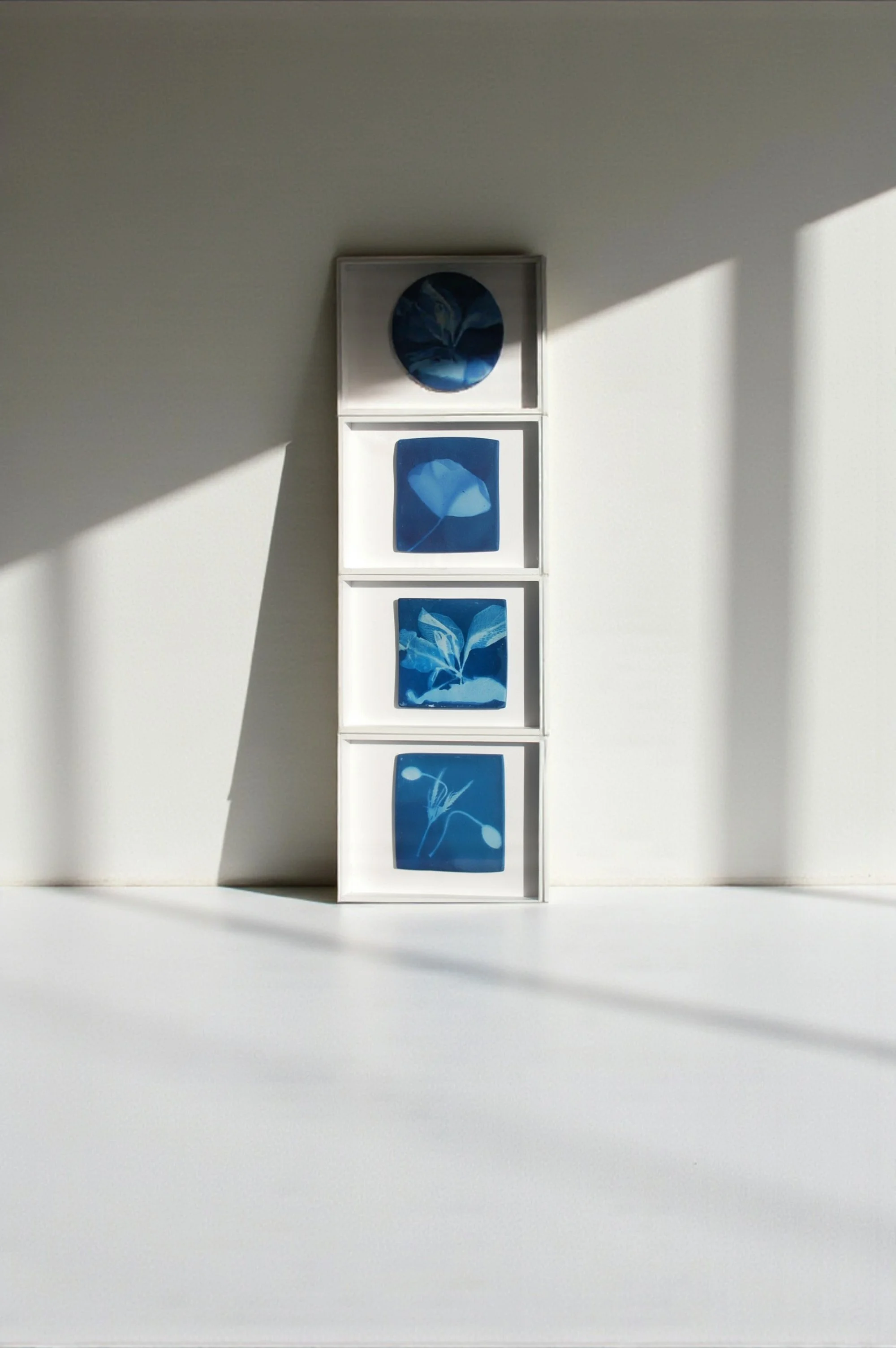 Traces de lumière (cyanotype sur porcelaine)