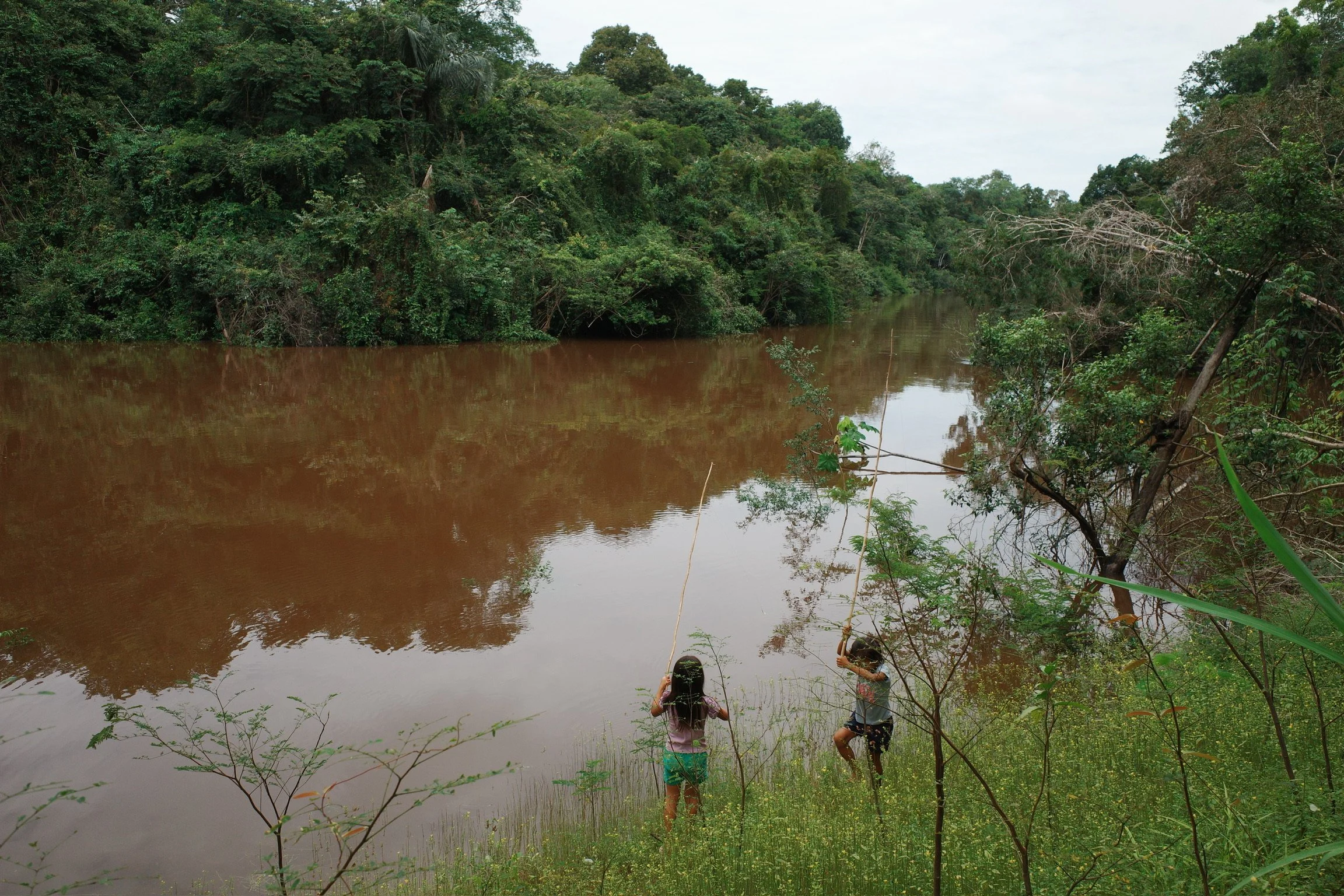 Ayahuma: The Sacred Amazon Tree That Named Our Retreat