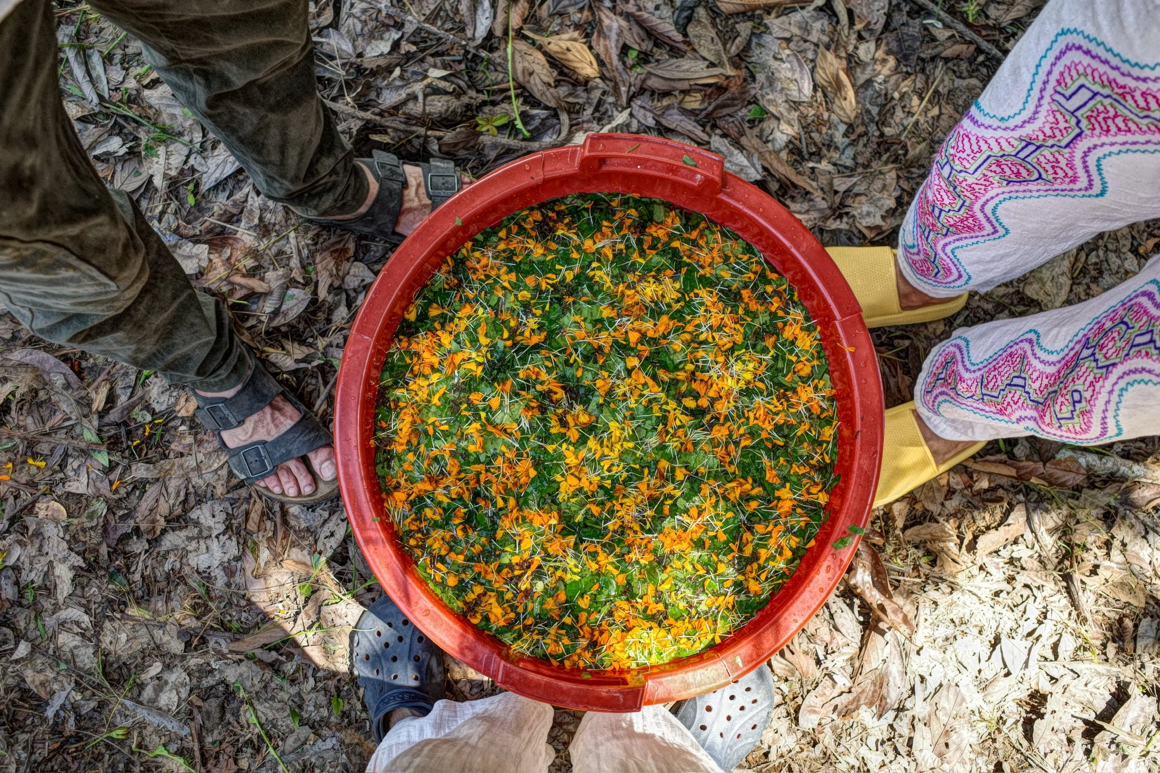 7-Night Ayahuma Journey