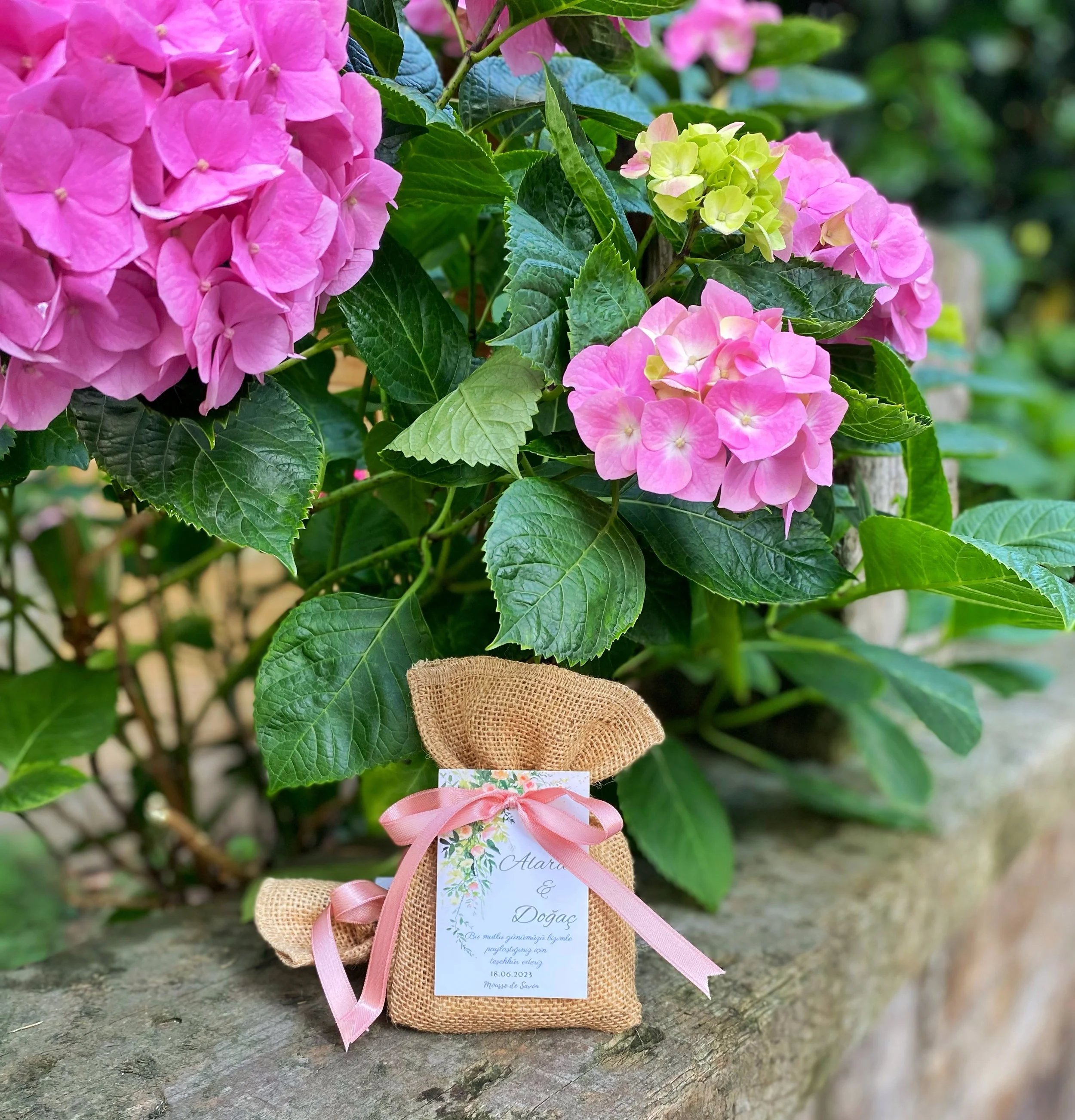 A bouquet of pink and light yellow hydrangea flowers with green leaves, accompanied by a small burlap pouch tied with a pink ribbon and a wedding or gift tag, placed on a stone surface outdoors.