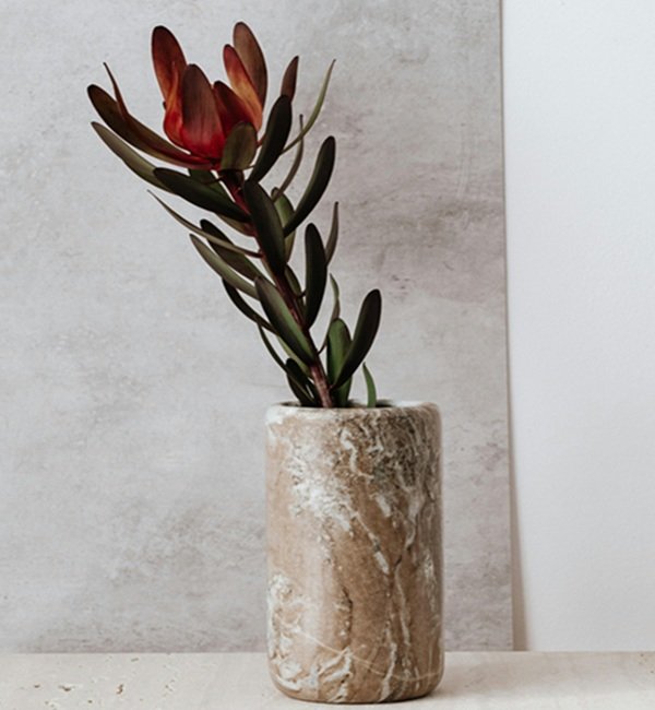 therapy Northern IReland