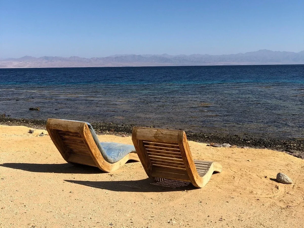 Desert Rose - Sinai Yoga Retreat  