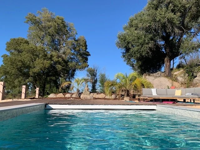 Free To Be Yoga &amp;  Meditation Retreat