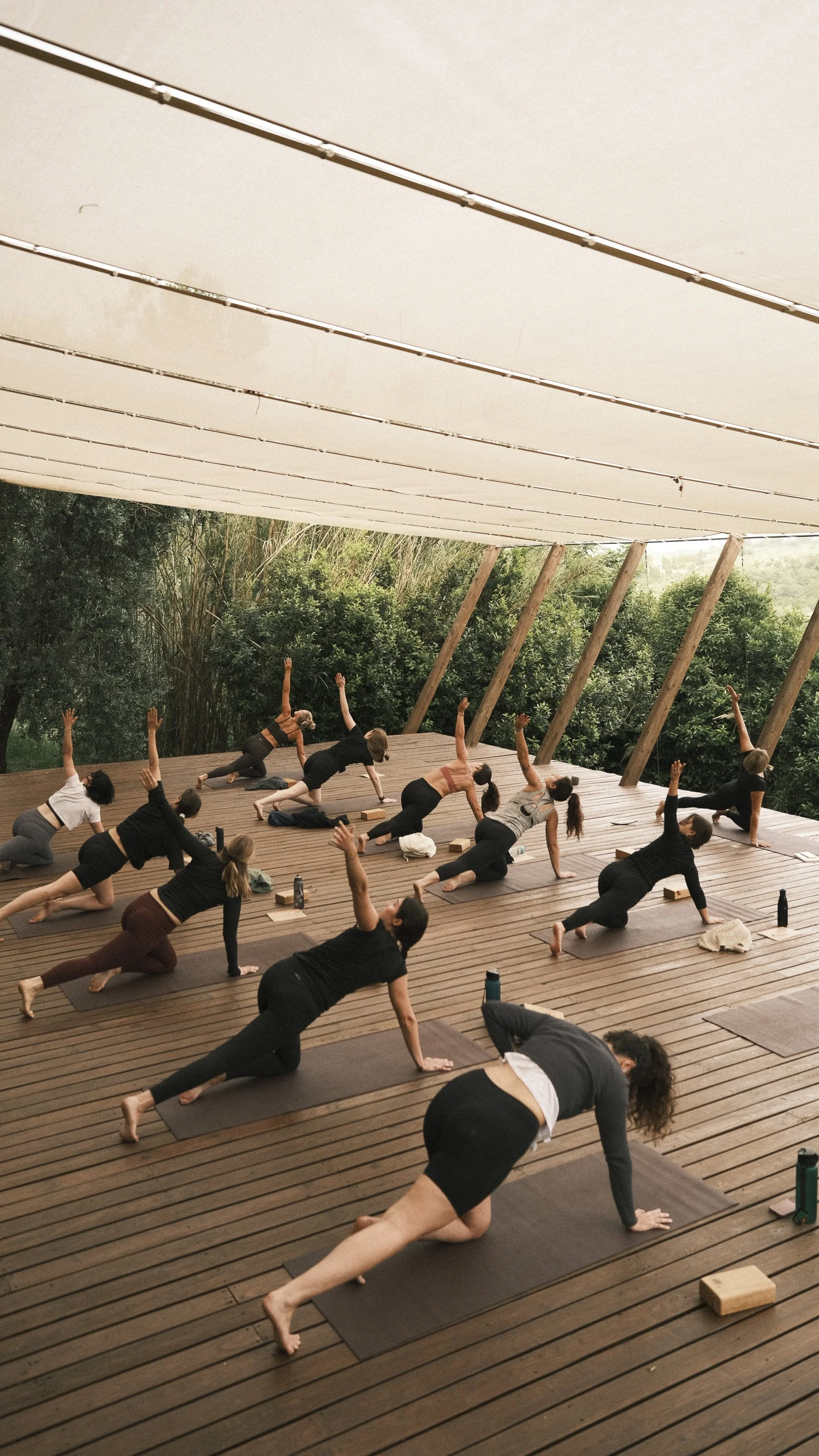 50 - Hour Advanced Yoga Teacher Training