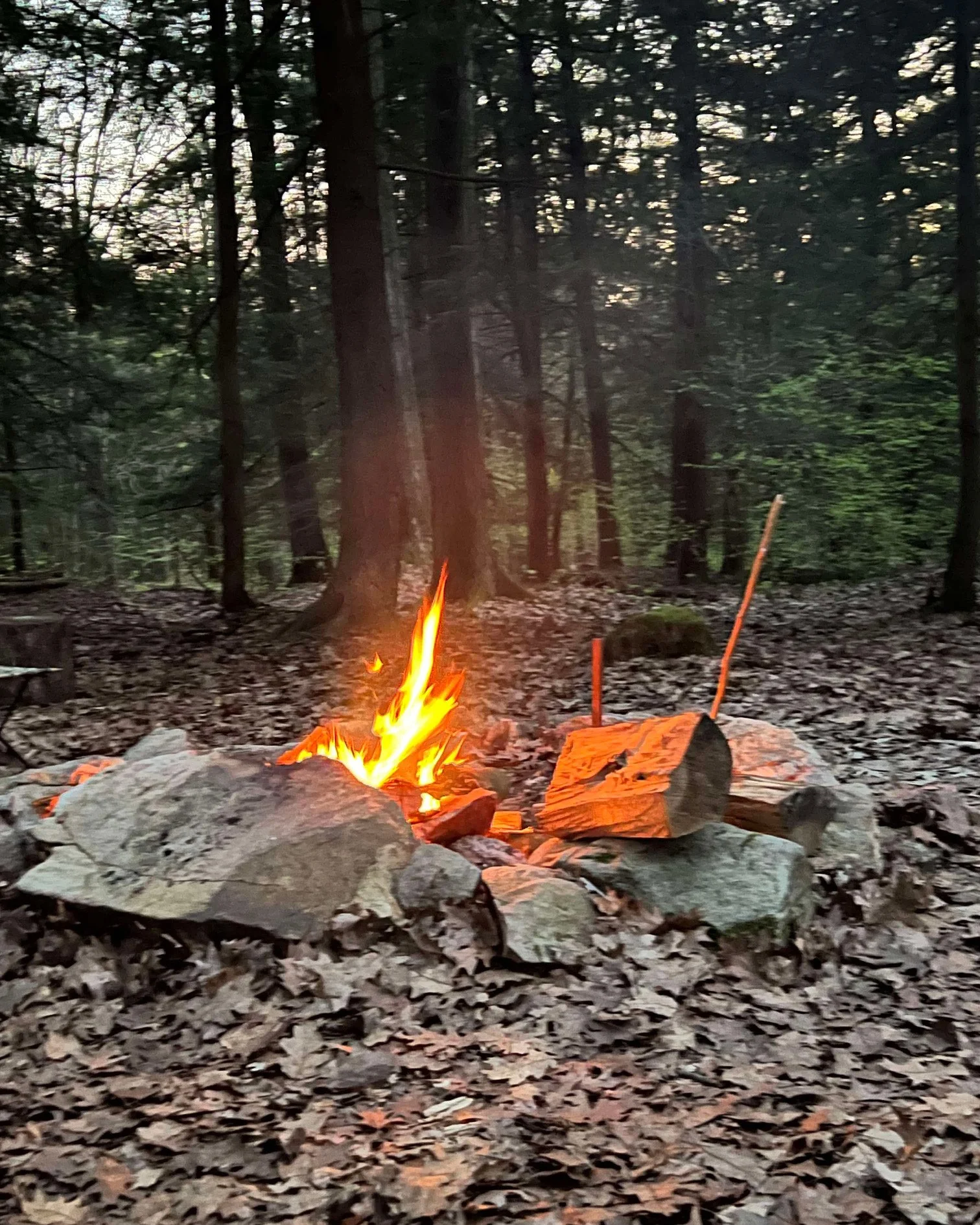 The Art of Fire-Making: Essential Survival Skills