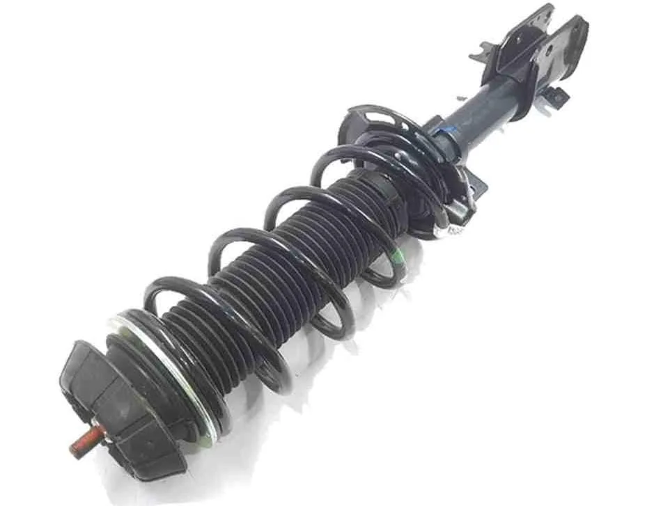 Front Shock Absorber Service