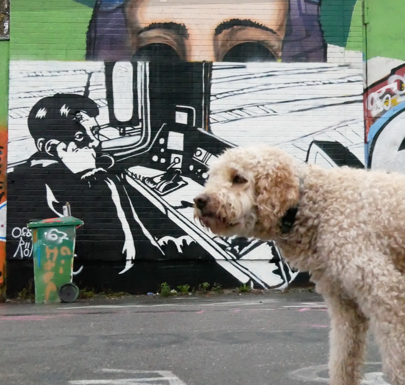 A gold-colored poodle dog standing in front of a street mural of a person in a truck, with a green trash bin nearby.