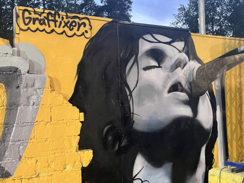 portrait of thåström graffiti, Graffixer