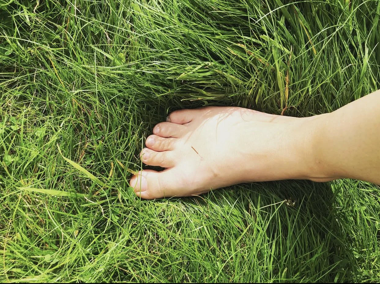 A bare foot resting on lush green grass in sunlight.