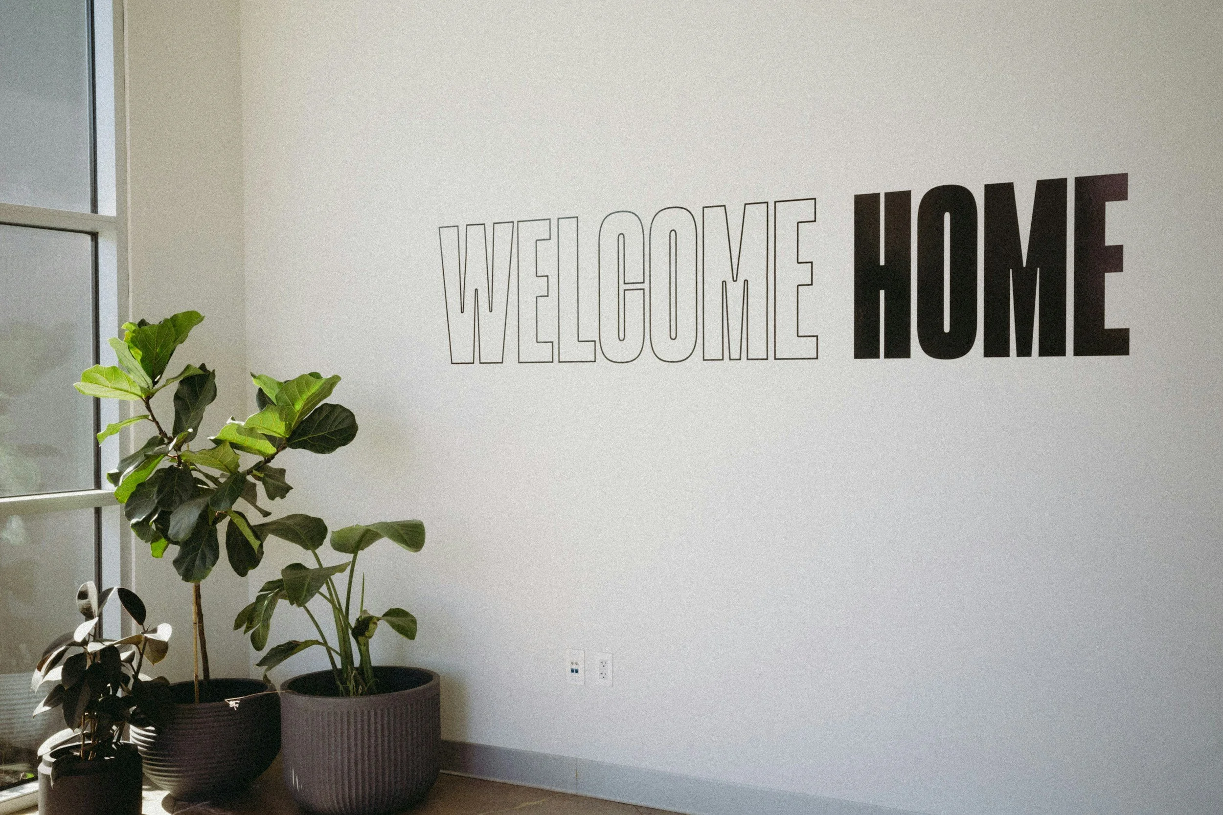 A white wall with black outlined and filled text reading "WELCOME HOME" and two potted plants, one with large dark green leaves, near a window with glass panes.
