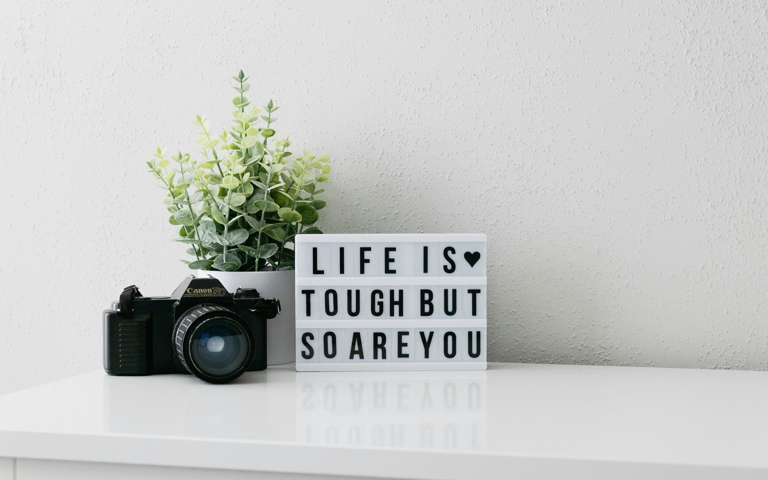 A potted plant, a vintage camera, and a lightbox sign with the words 'LIFE IS TOUGH BUT SO ARE YOU' on a white surface against a plain wall.