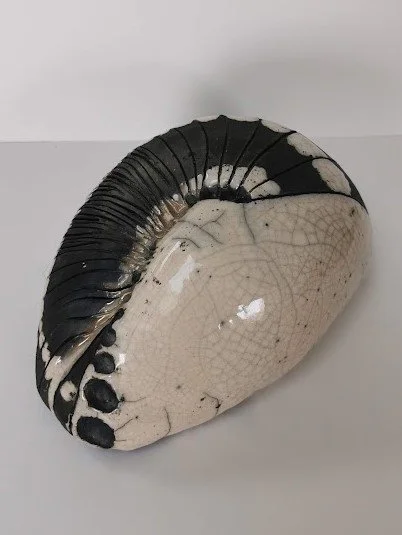 Une coquille de moule noire et blanche avec des craquelures