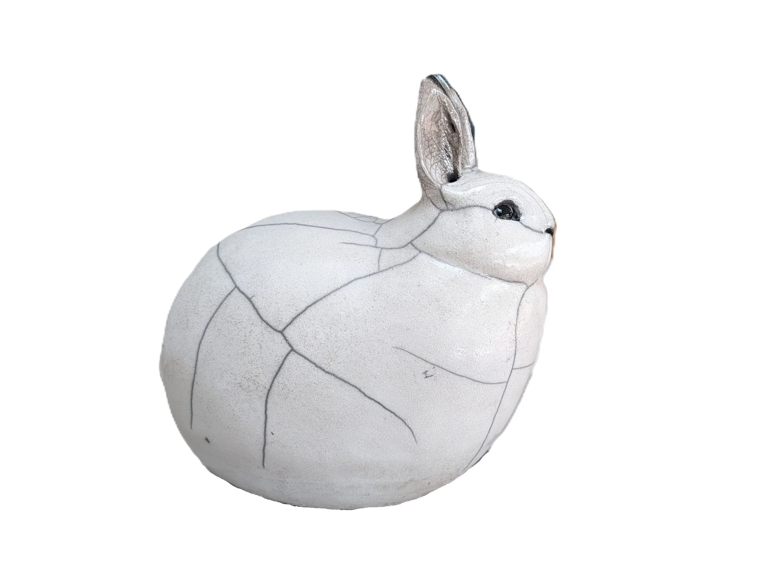 Lapin des neiges