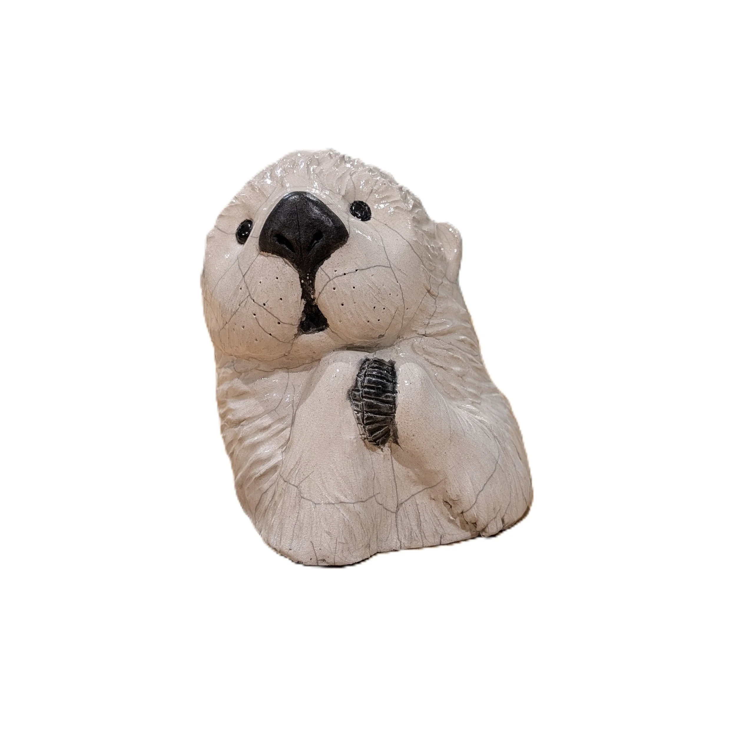 Loutre et son coquillage