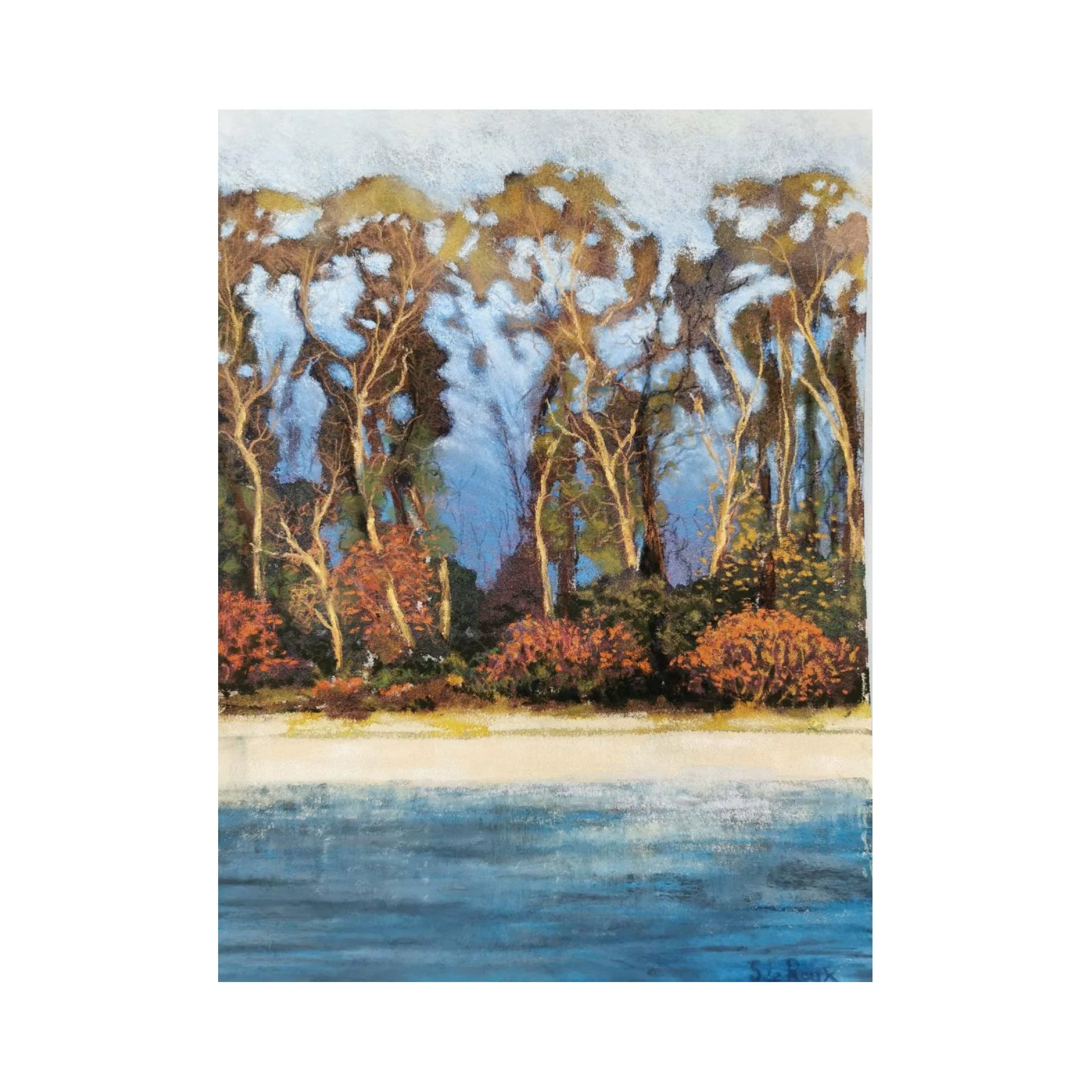 Les arbres sur la rive