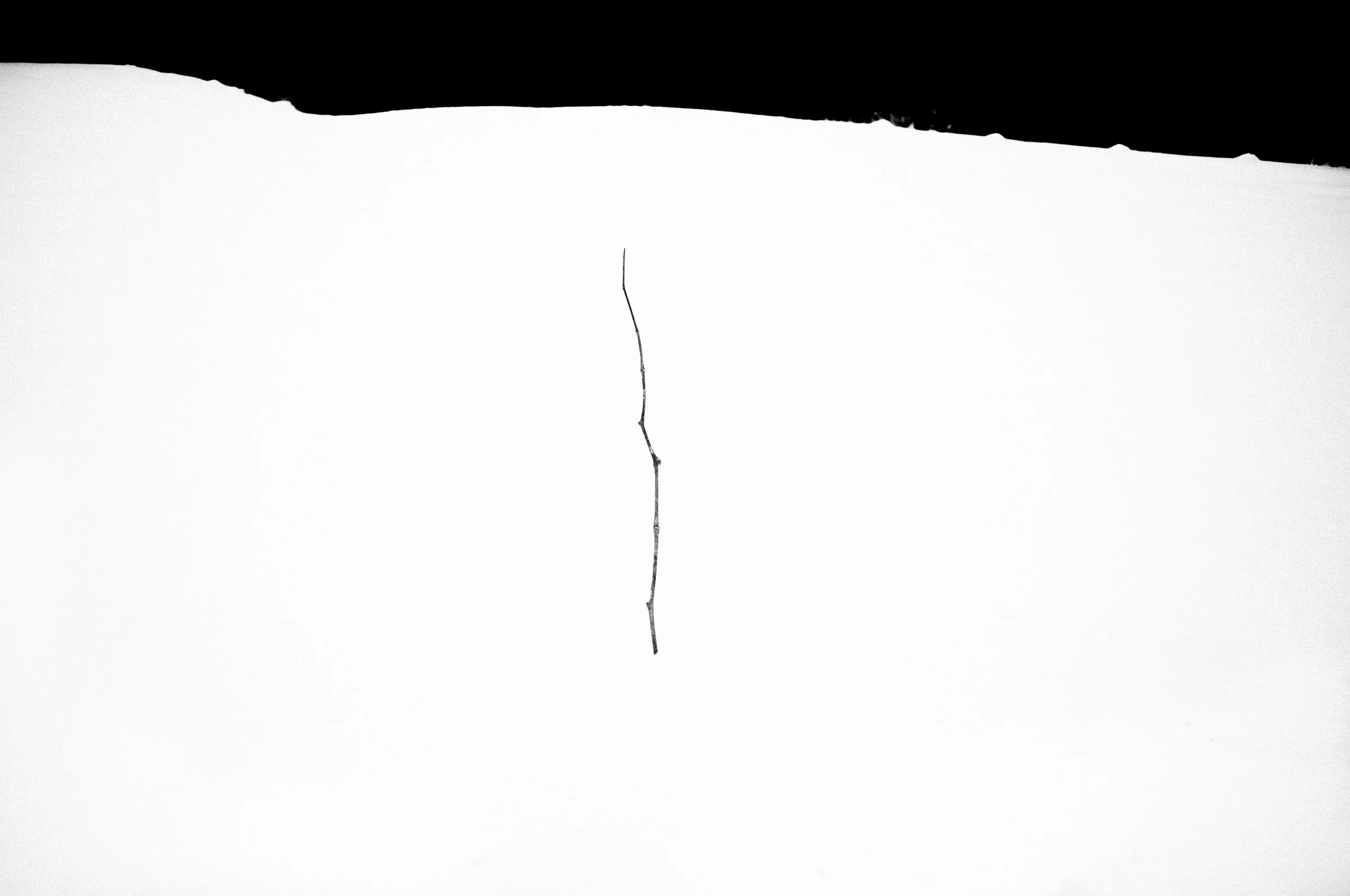 Red_0002_ENG20260207_113336.jpg