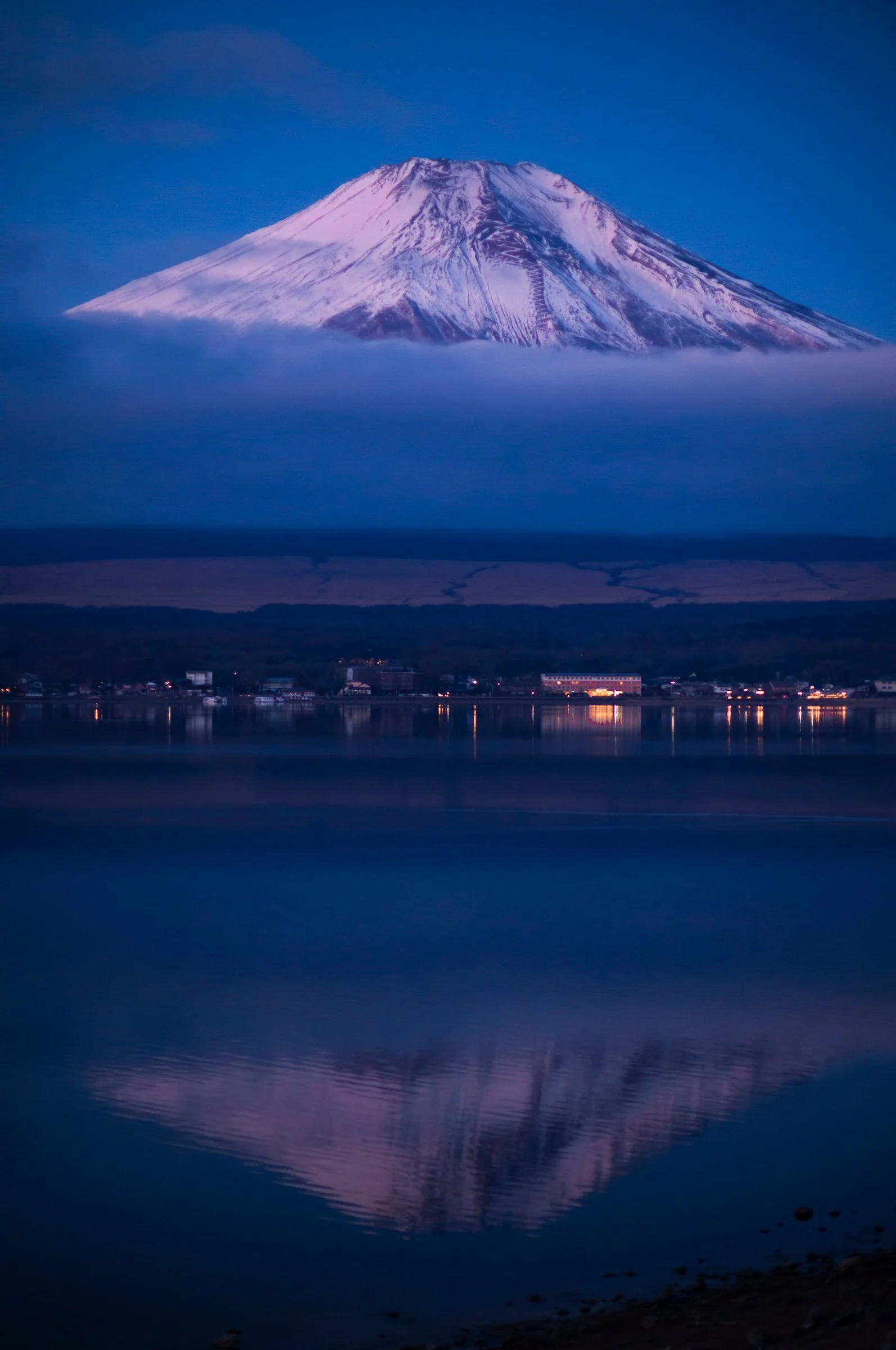 Red_0004_20260204-L1002384.jpg