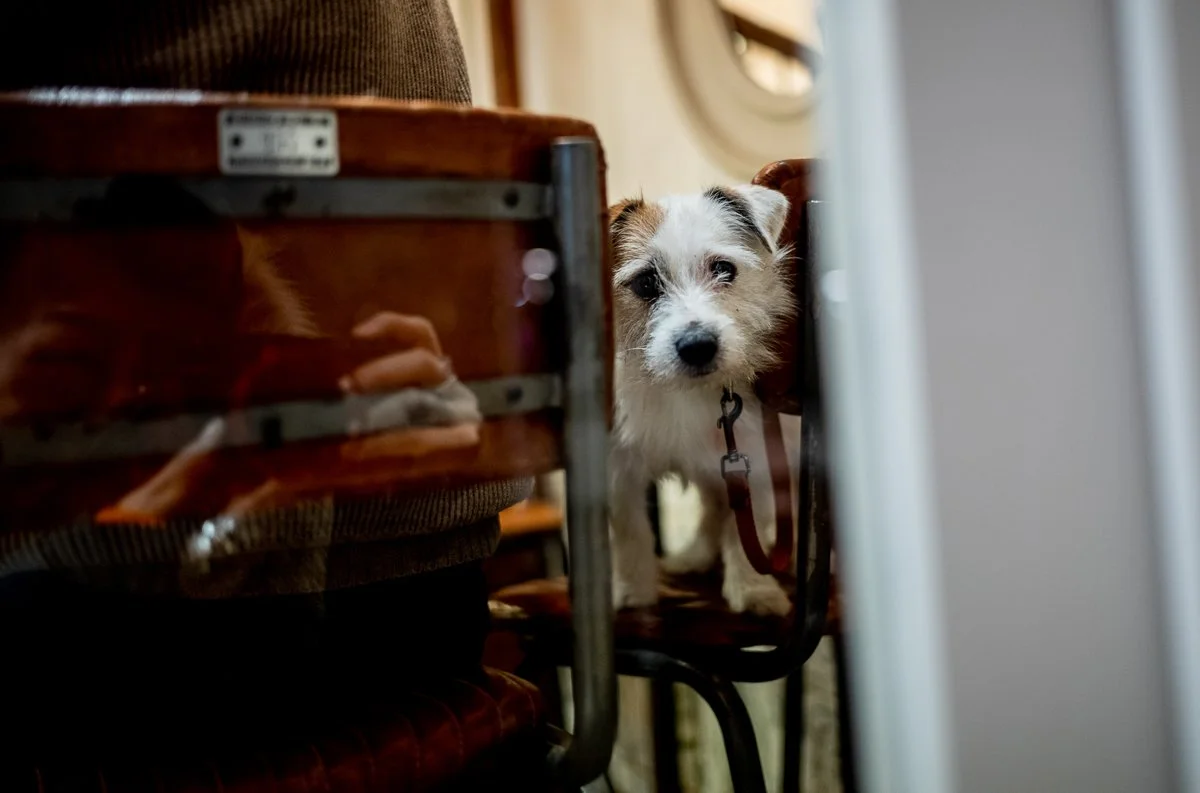 He Is Eating But I Got Nothing.jpg