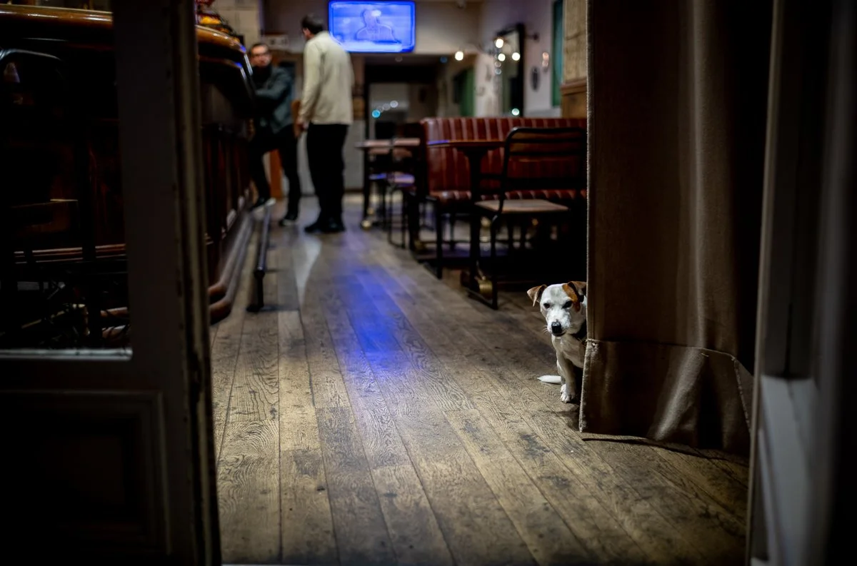 He Will Be A While.jpg