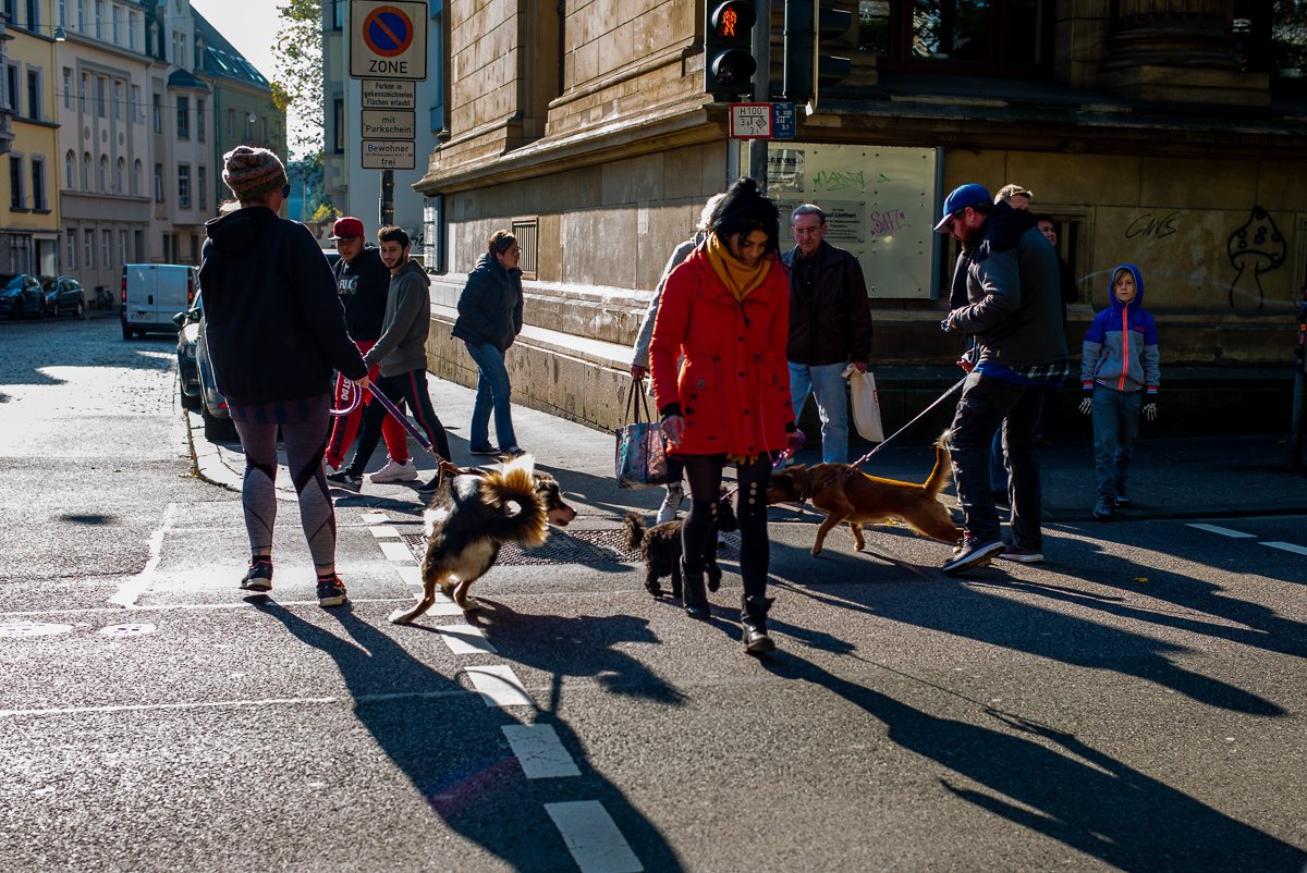 Altercation at the Crossings.jpg