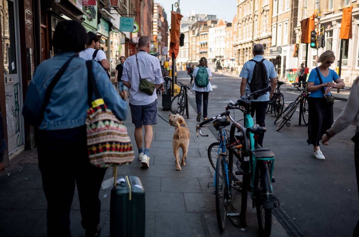 Watching For Cues.jpg