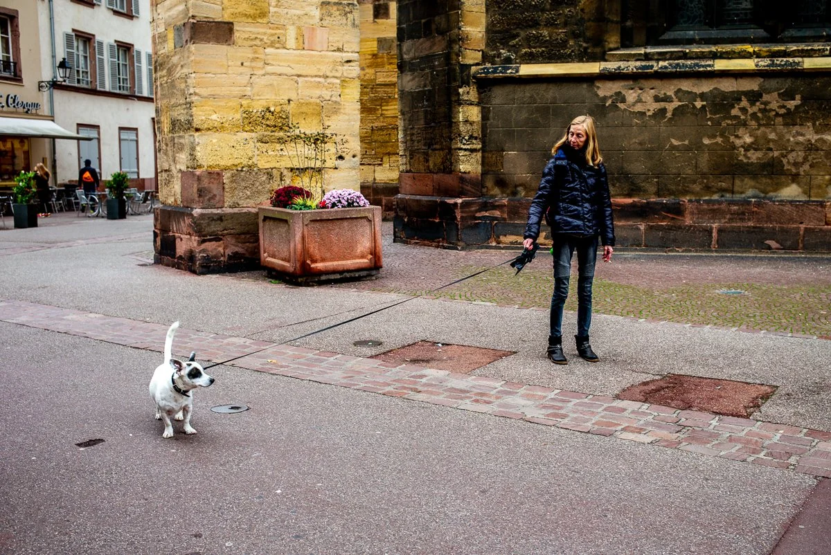 But I Want To Go That Way.jpg