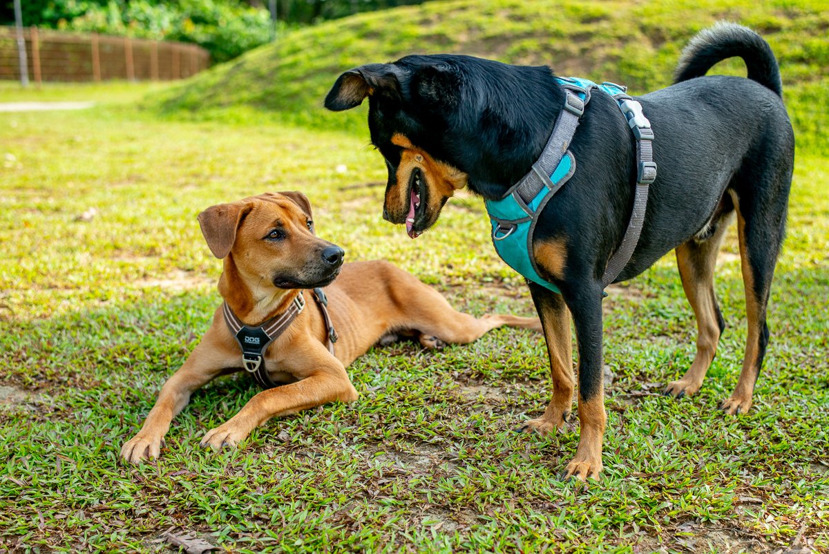 Can We Be Friends.jpg