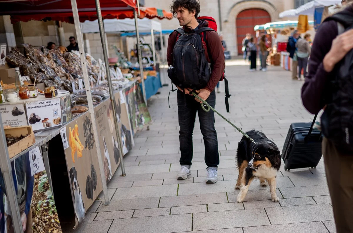 That Looks Like Me.jpg