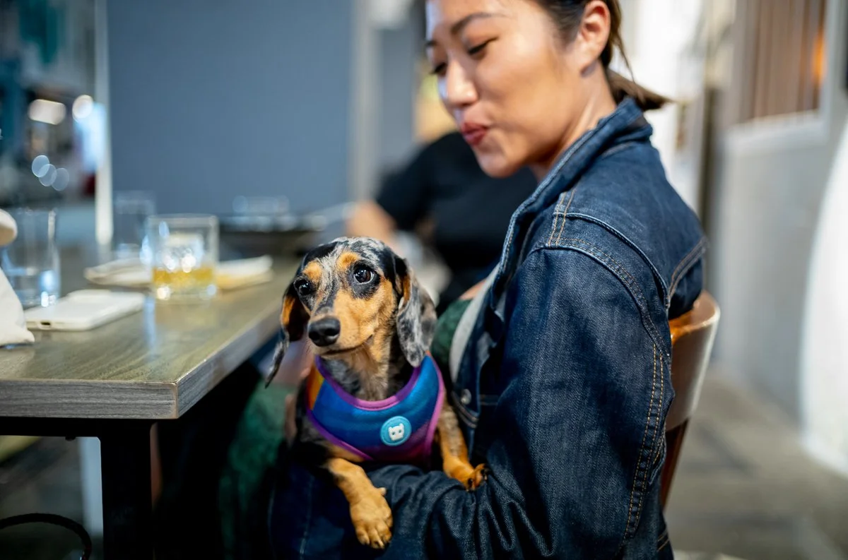 Late Night Bright Eyes.jpg