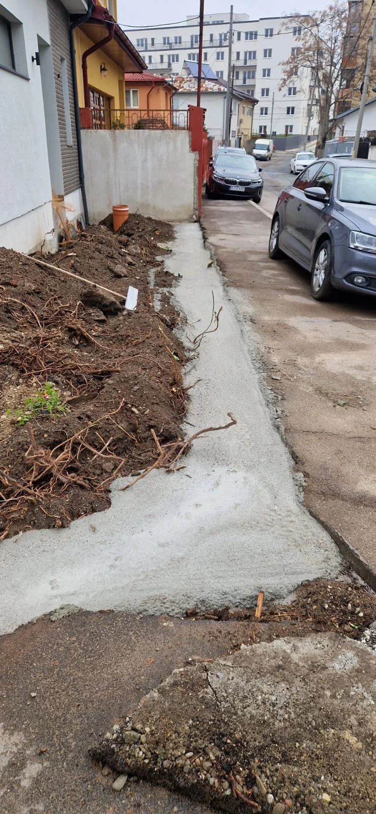 A sidewalk under construction with freshly laid concrete next to a dirt area with exposed roots and plant debris. Cars are parked along the street with residential buildings in the background.