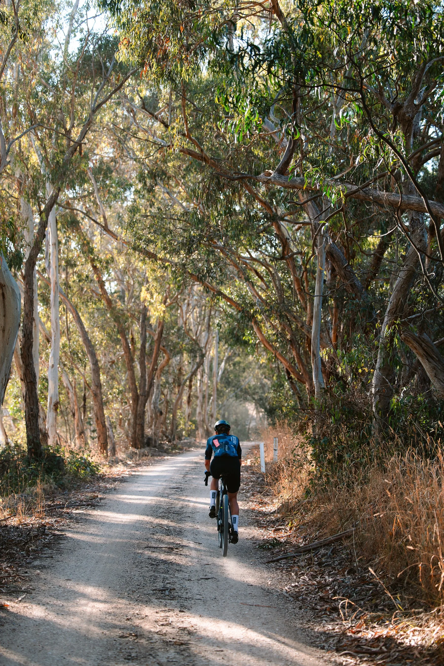 A person riding a bicycle on a dirt trail through a forest with tall trees and sunlight filtering through the leaves.