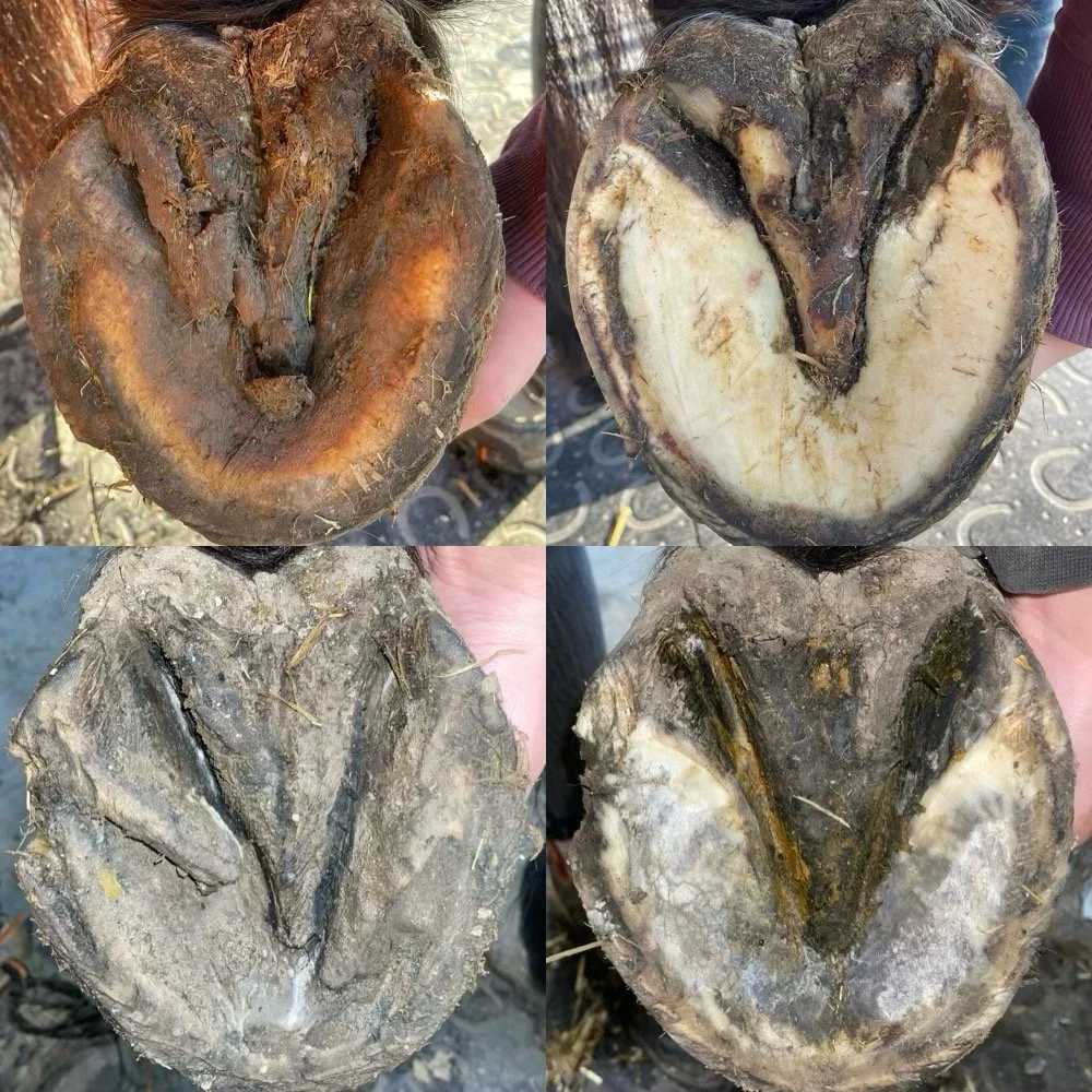 Huforthopädische Behandlung