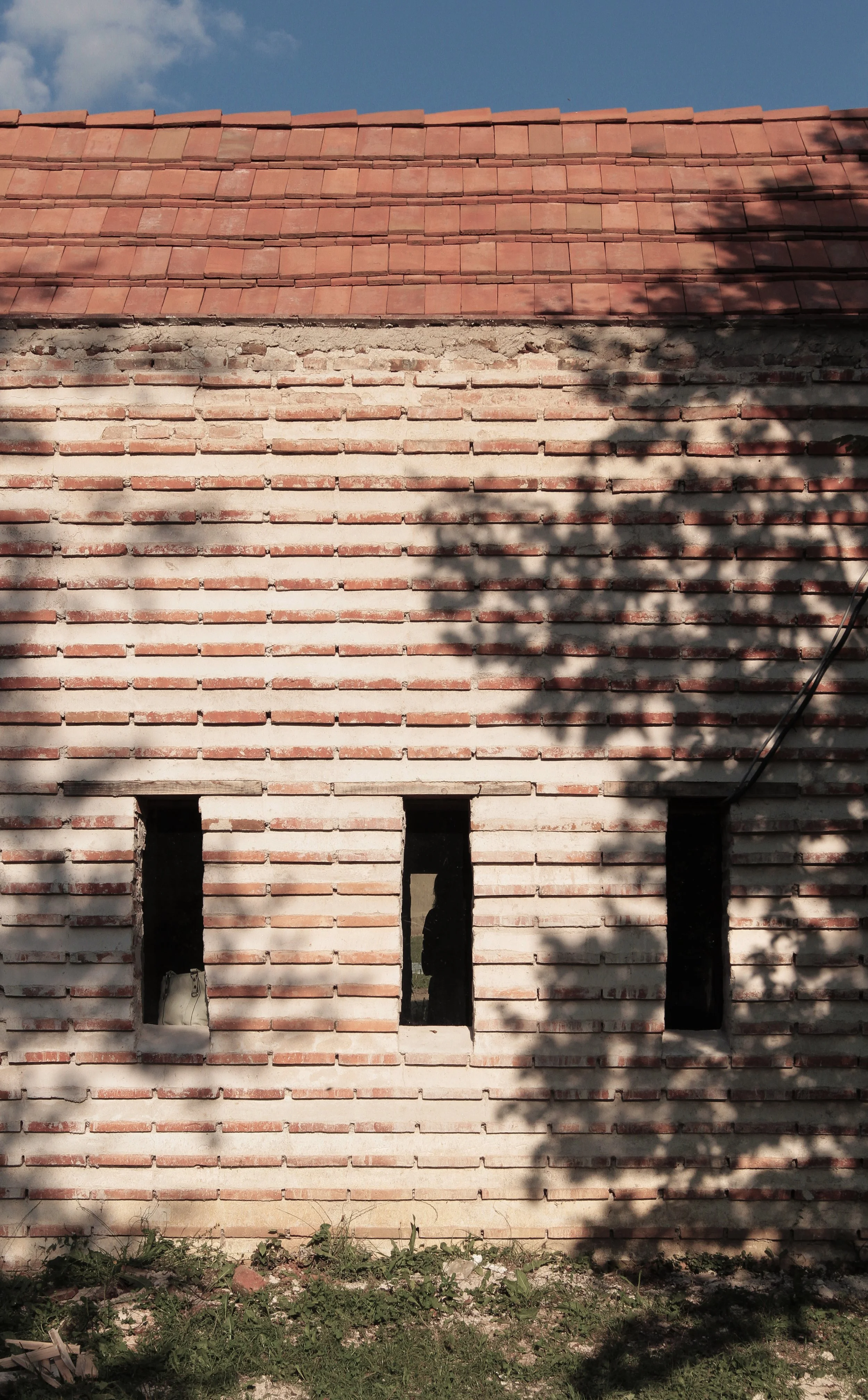 Trapeza școlii de la Bunești - Ana Maria Goilav, Școala de la Bunești, România