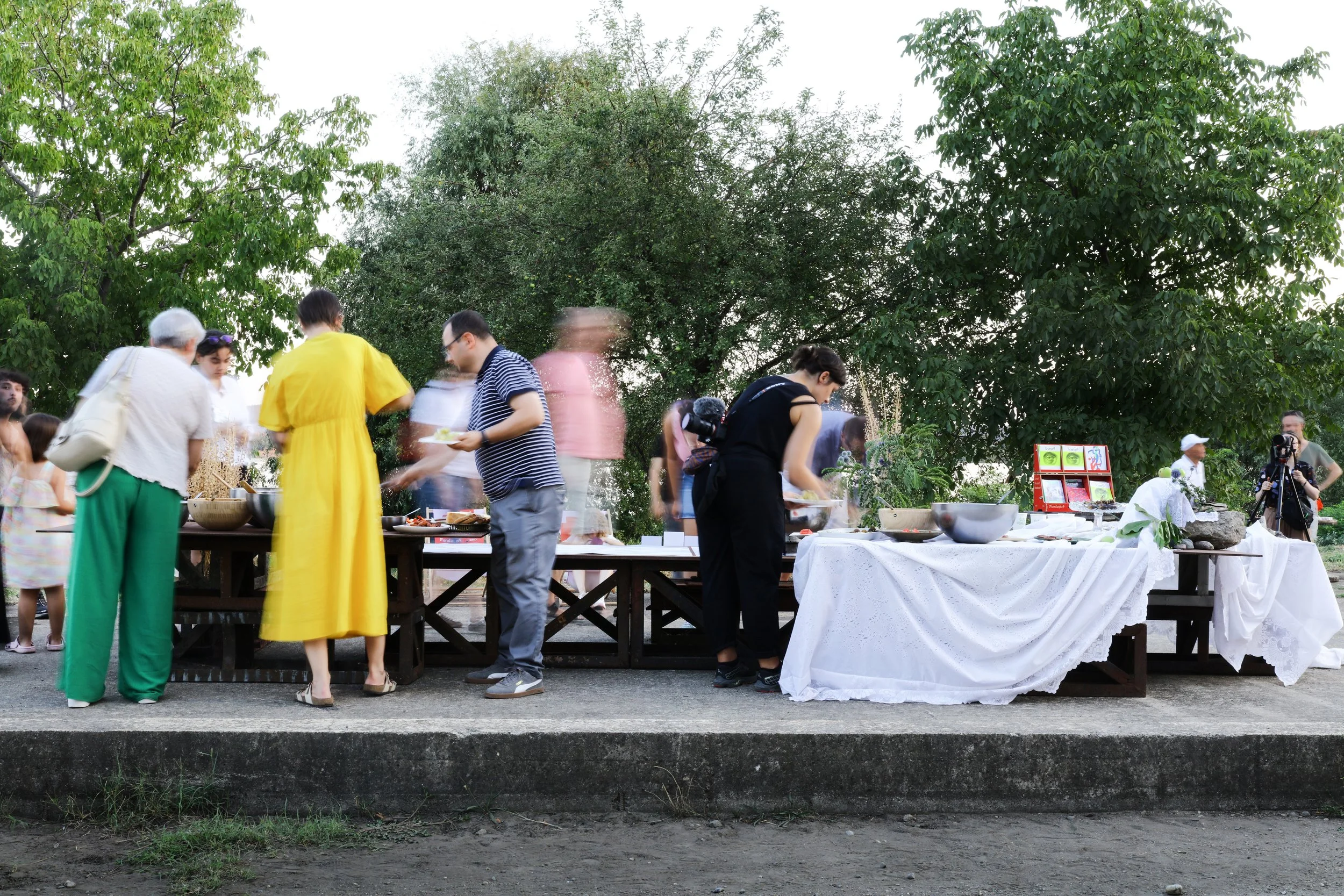 Șantierul naval Drobeta Turnu Severin - Open waterways