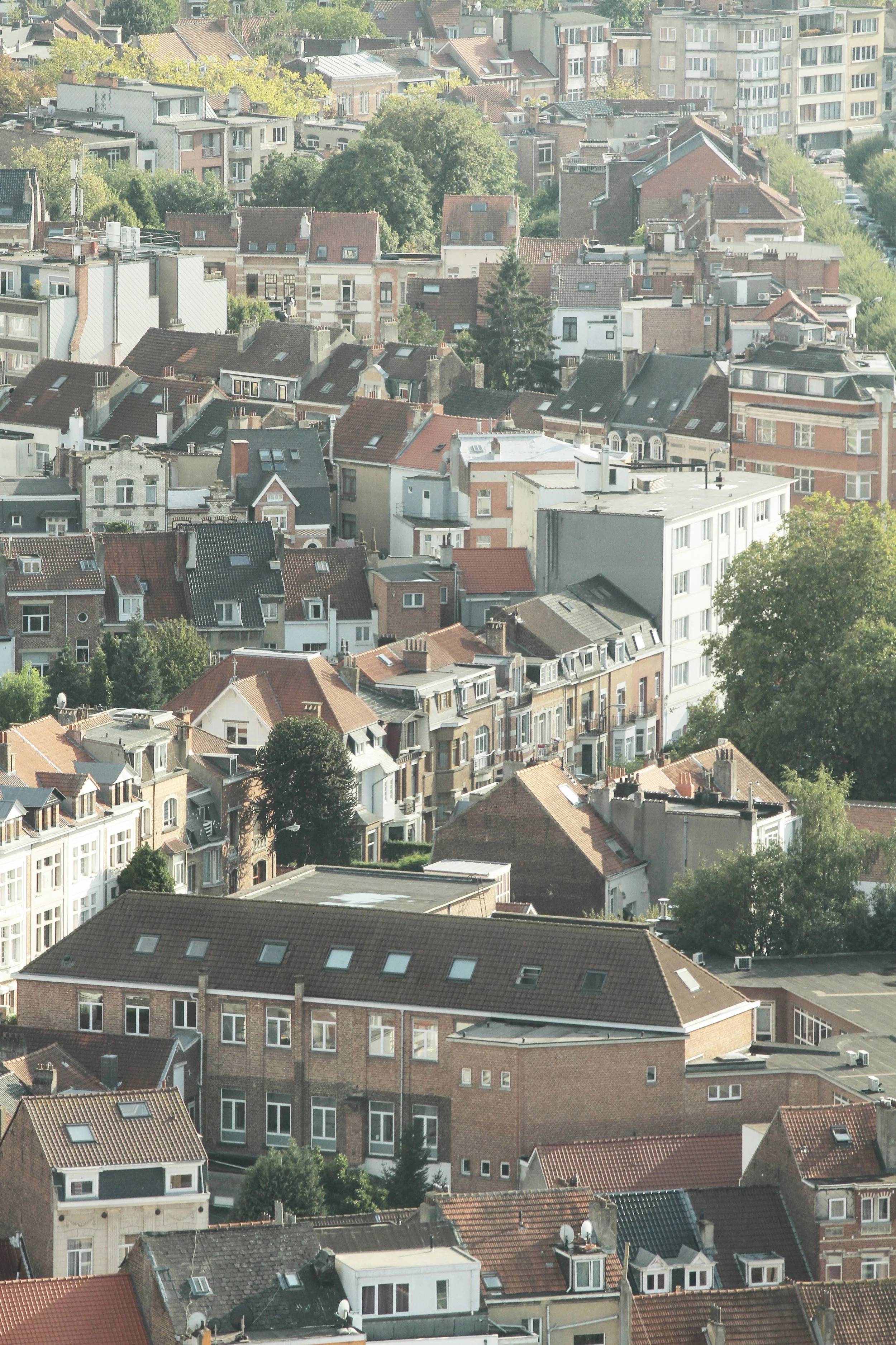 4_peisaj