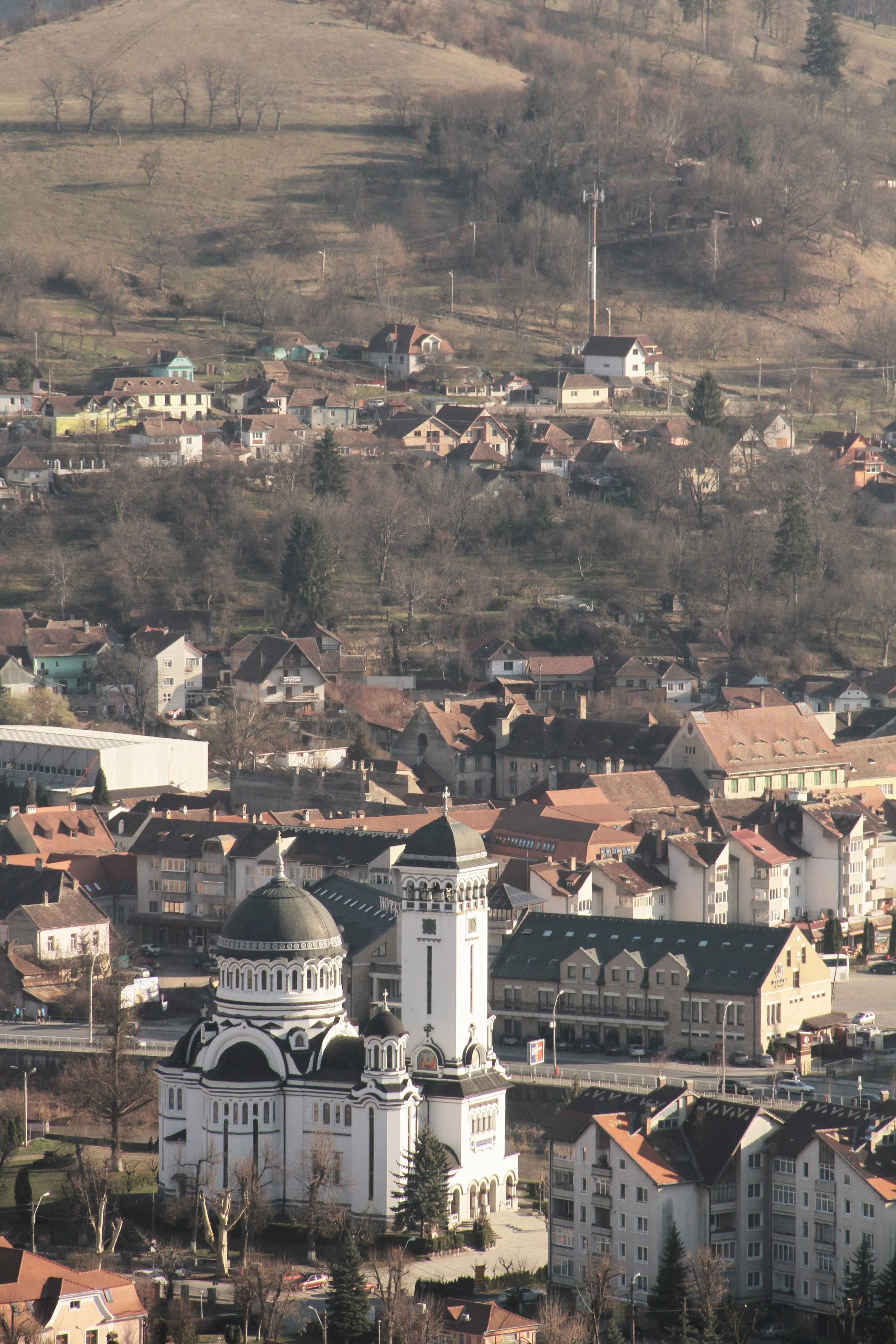 IMG_0855.jpg