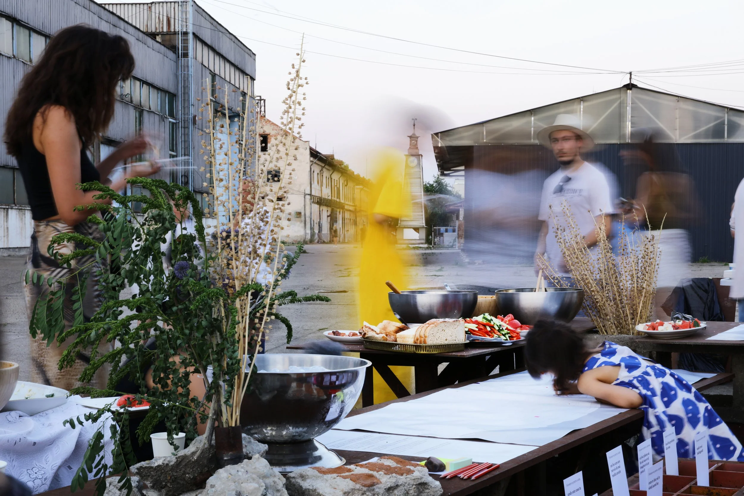 Șantierul naval Drobeta Turnu Severin - Open waterways
