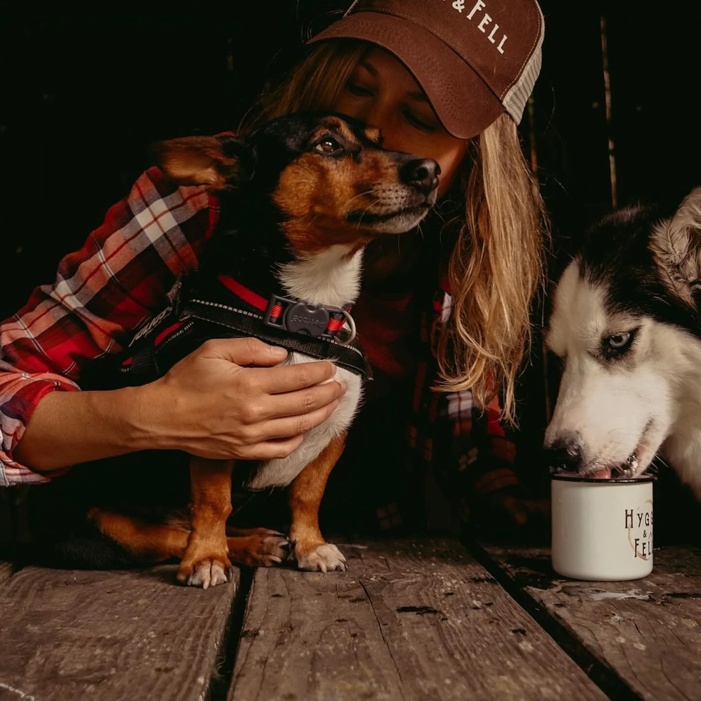 Today I lost my little soul mate, the absolute love of my life, best friend, adventure and snuggle buddy, my rock, my hero and the kindest little soul I&rsquo;ve ever known. He fought to the last breath to stay with me. I love you always my little Ar