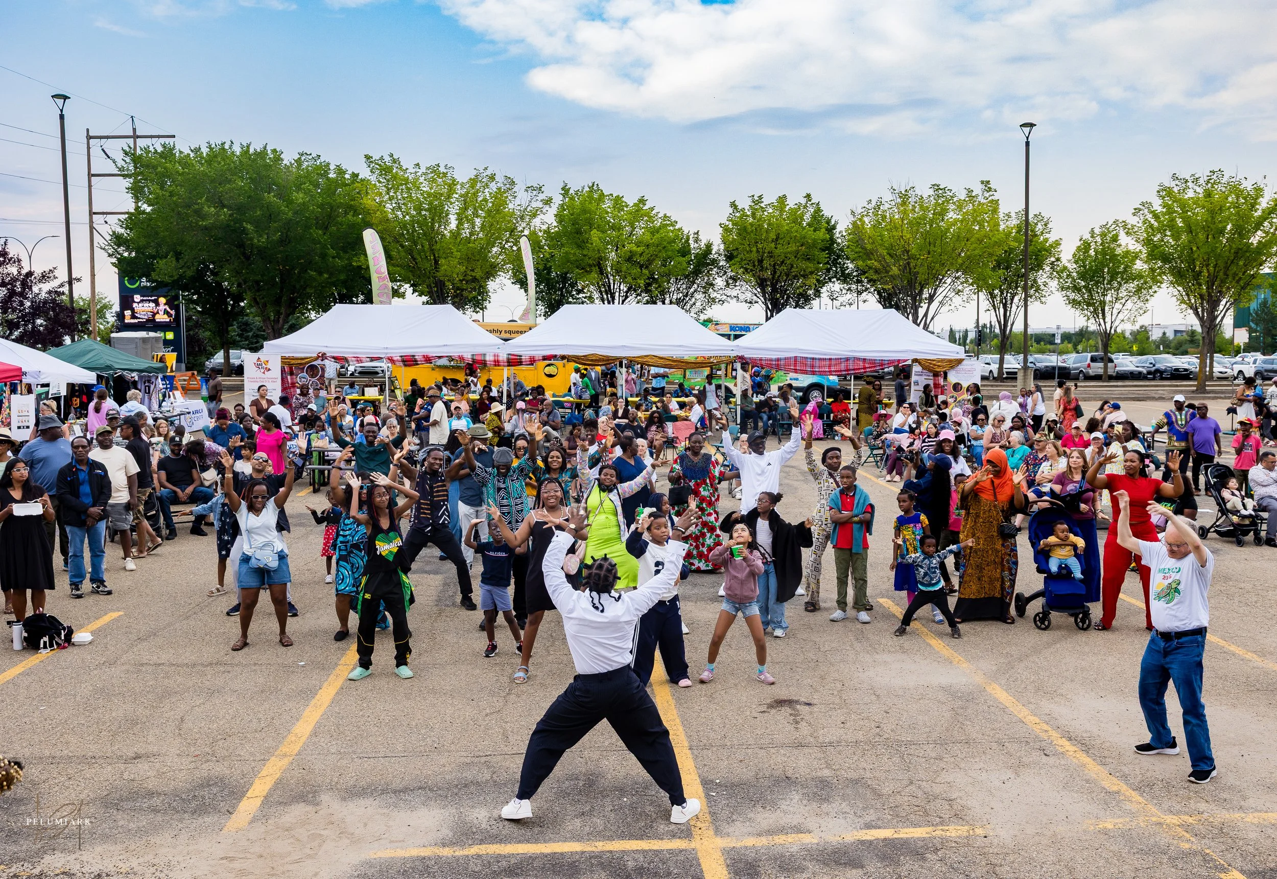 Afro Caribbean Festival 2026