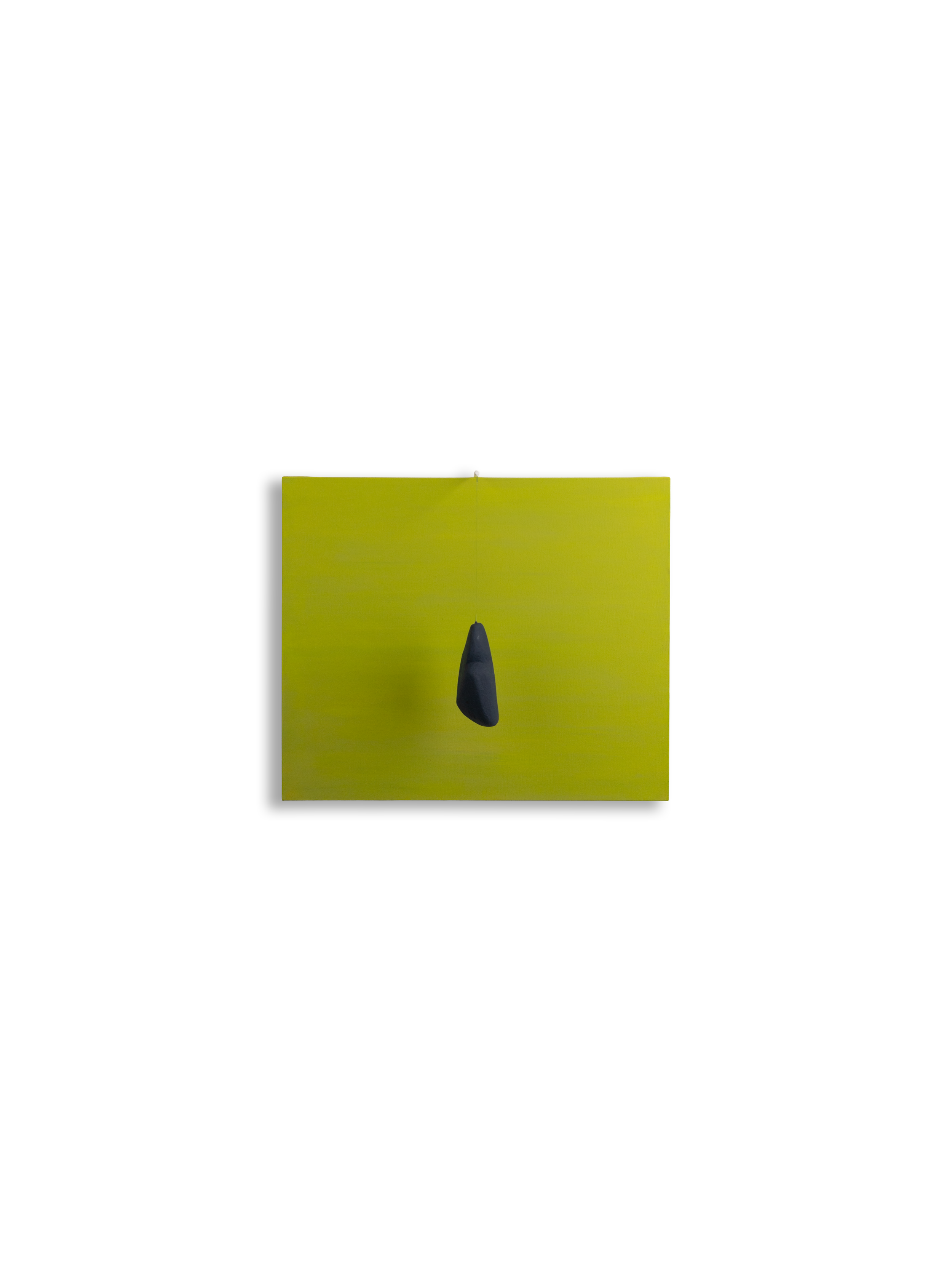 n42 Forma cm 60x50