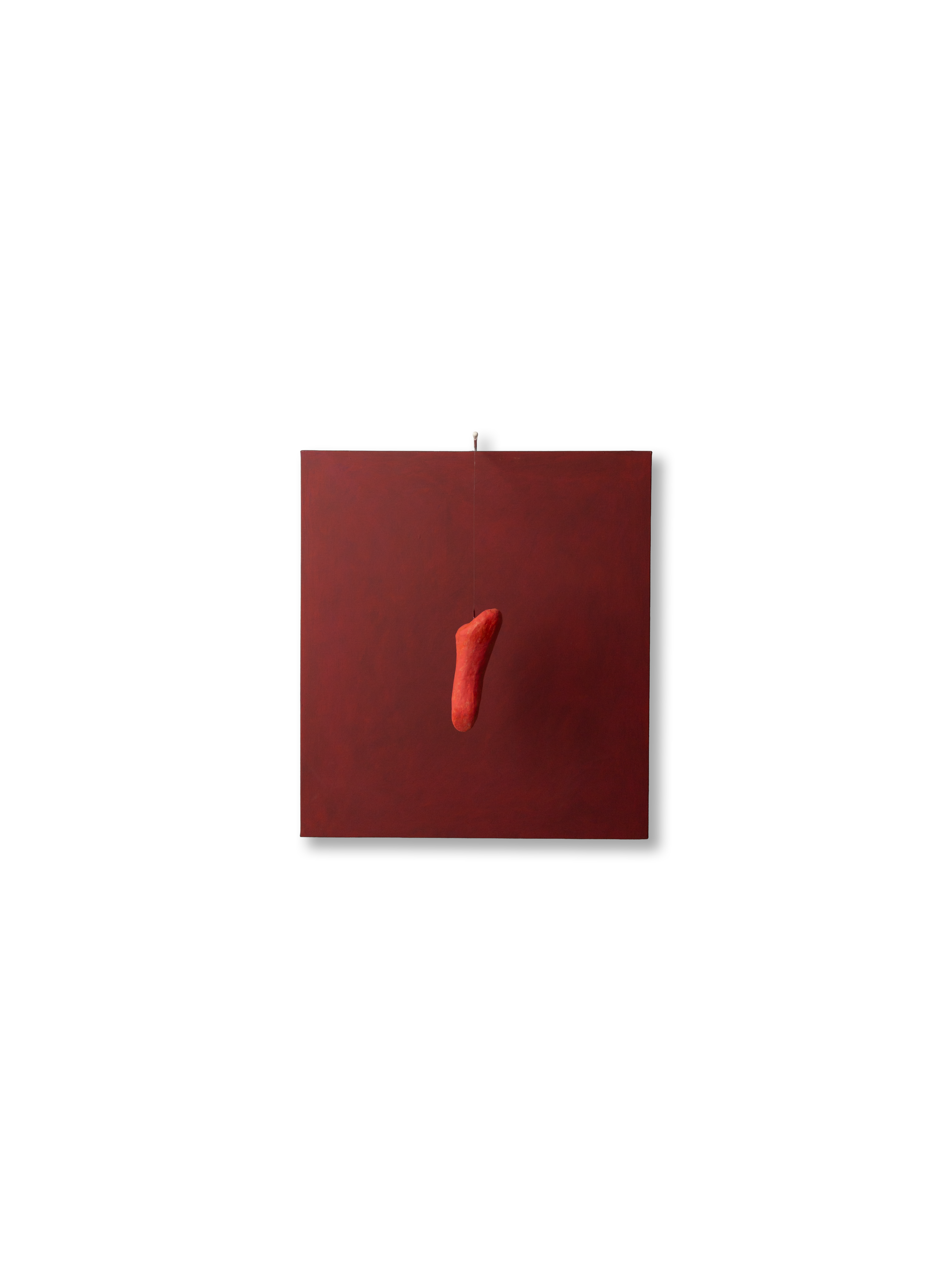 n49 Corallo cm 45x50