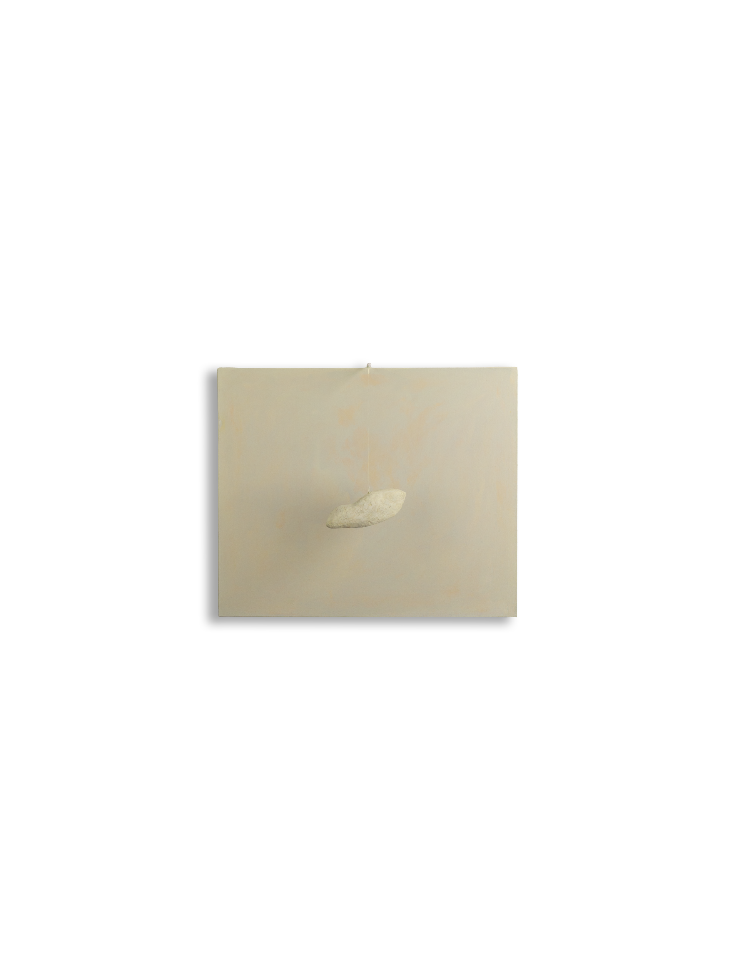 n55 Uccello cm 60x50 2026