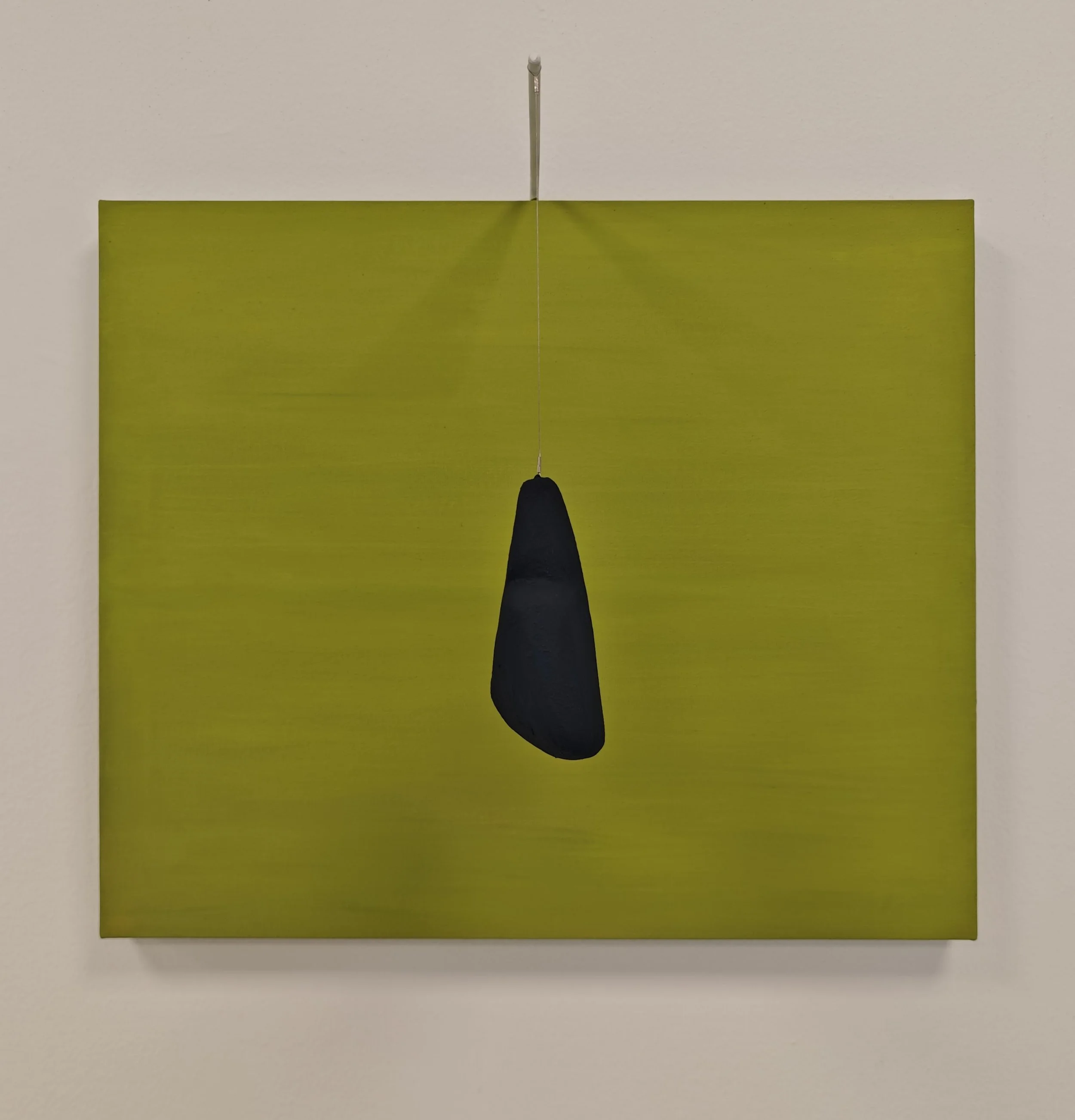 Scultura con una pietra nera sospesa con un filo sopra uno sfondo verde