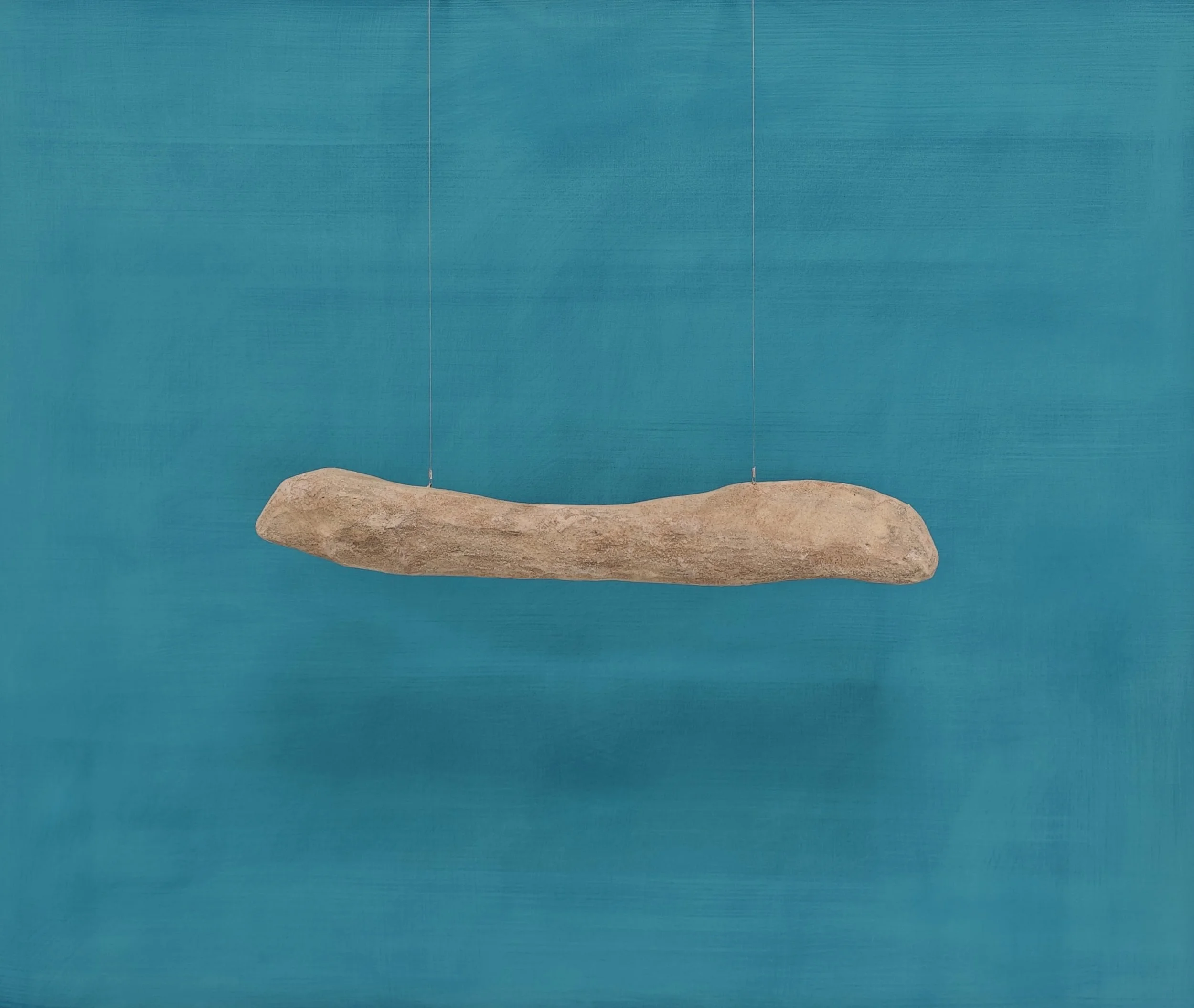 Installazione d'arte con tronco di legno sospeso con fili trasparenti su sfondo blu.