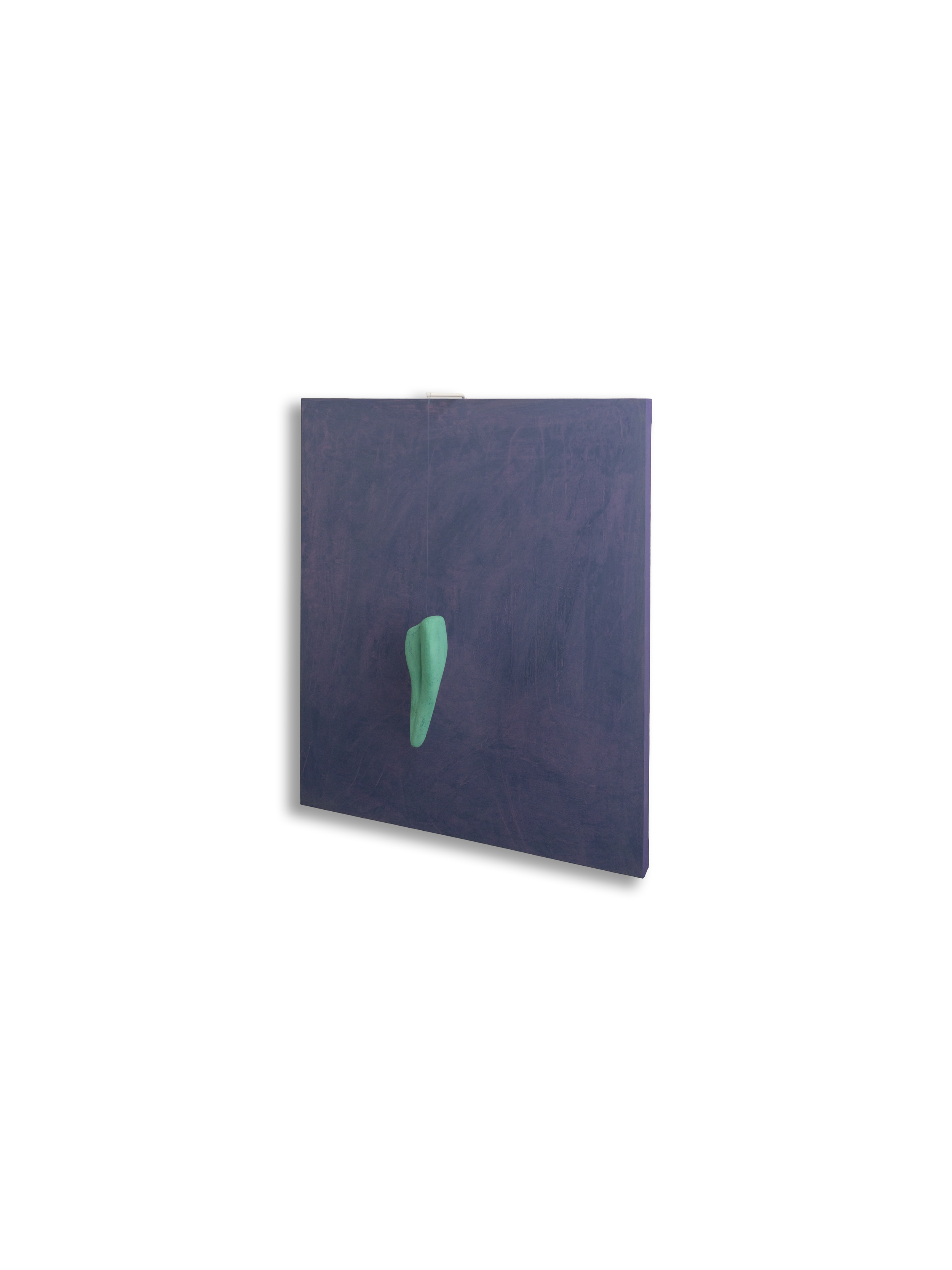 n21 Osso cm 60 x70 2025