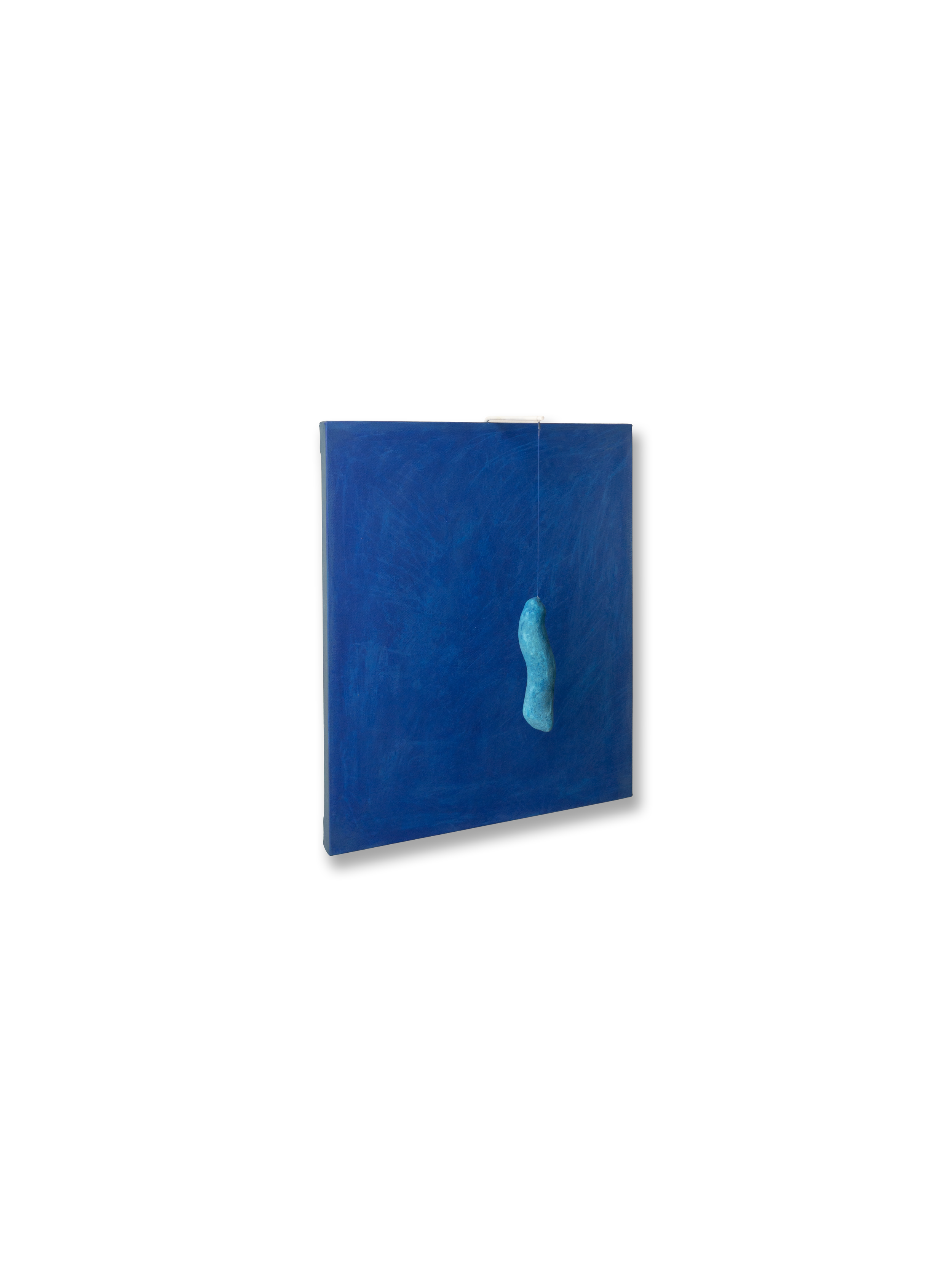 n51 Corallo Blu cm40x50 2026
