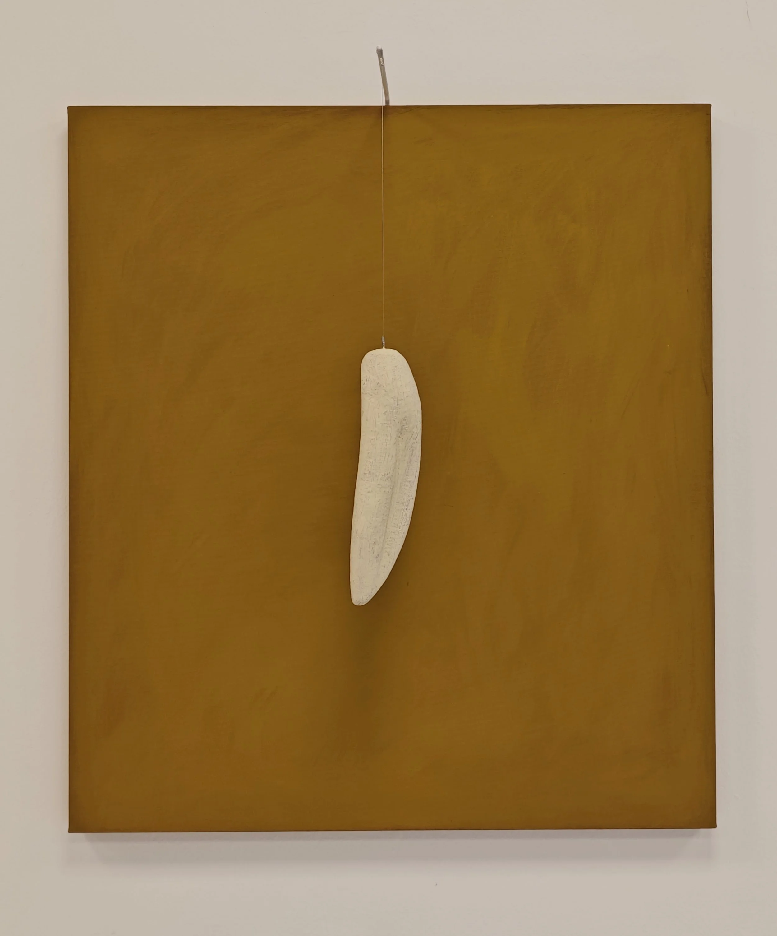 Installazione artistica con un legnetto bianco appeso in modo sospeso su un pannello di legno marrone, sullo sfondo una parete bianca.